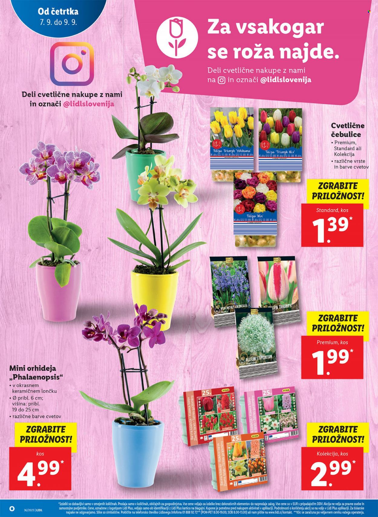 Lidl katalog - 7.9.2023 - 13.9.2023. Stran 8