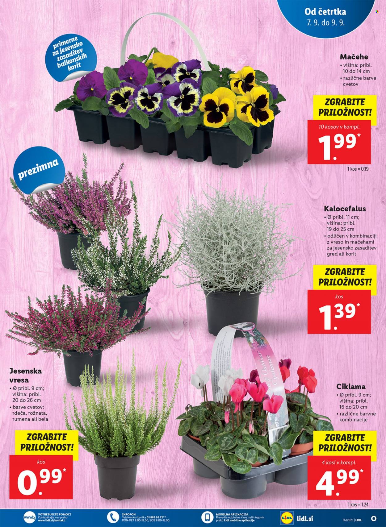 Lidl katalog - 7.9.2023 - 13.9.2023. Stran 9
