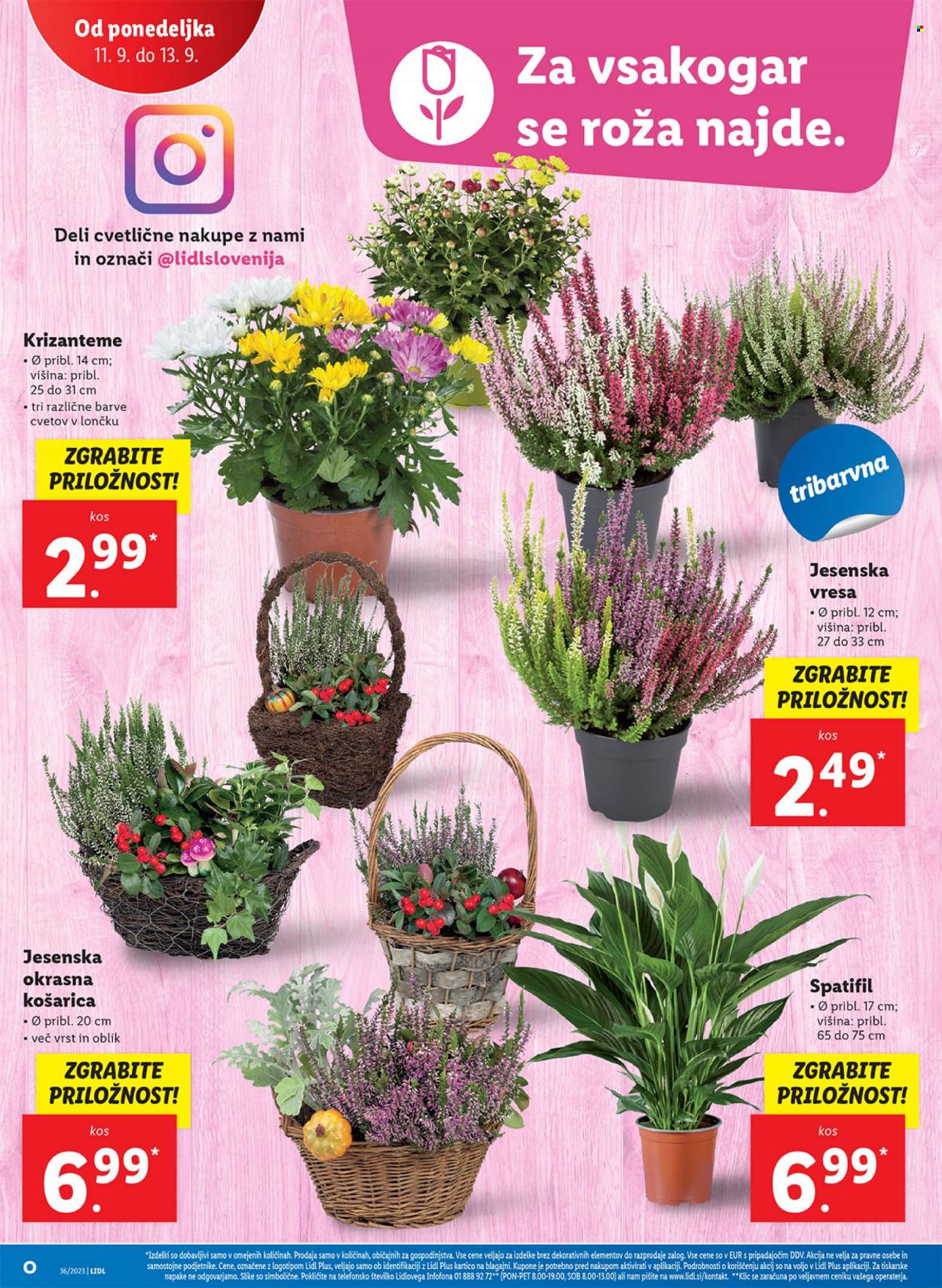 Lidl katalog - 7.9.2023 - 13.9.2023. Stran 34