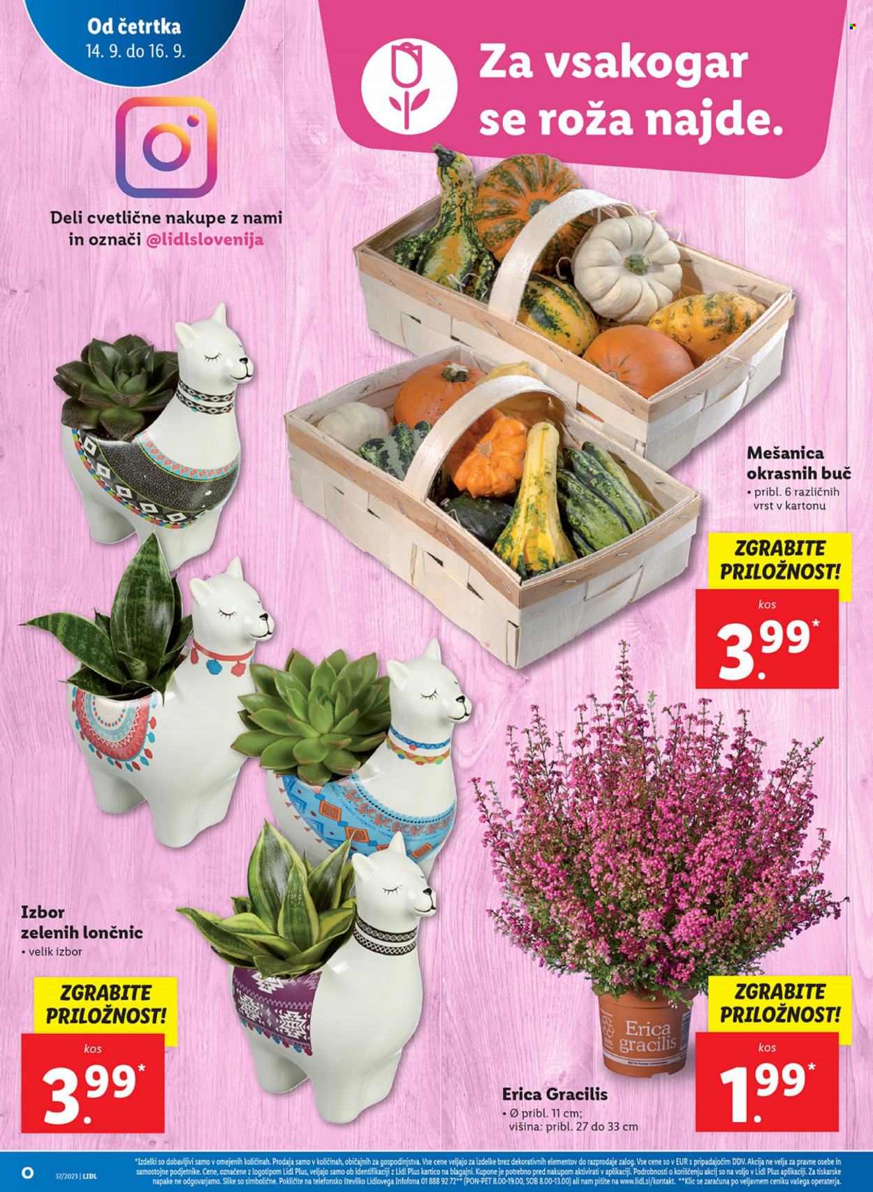 Lidl katalog - 14.9.2023 - 20.9.2023. Stran 8