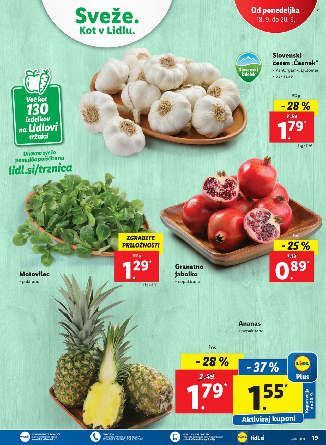 Lidl katalog - 14.9.2023 - 20.9.2023. Stran 41