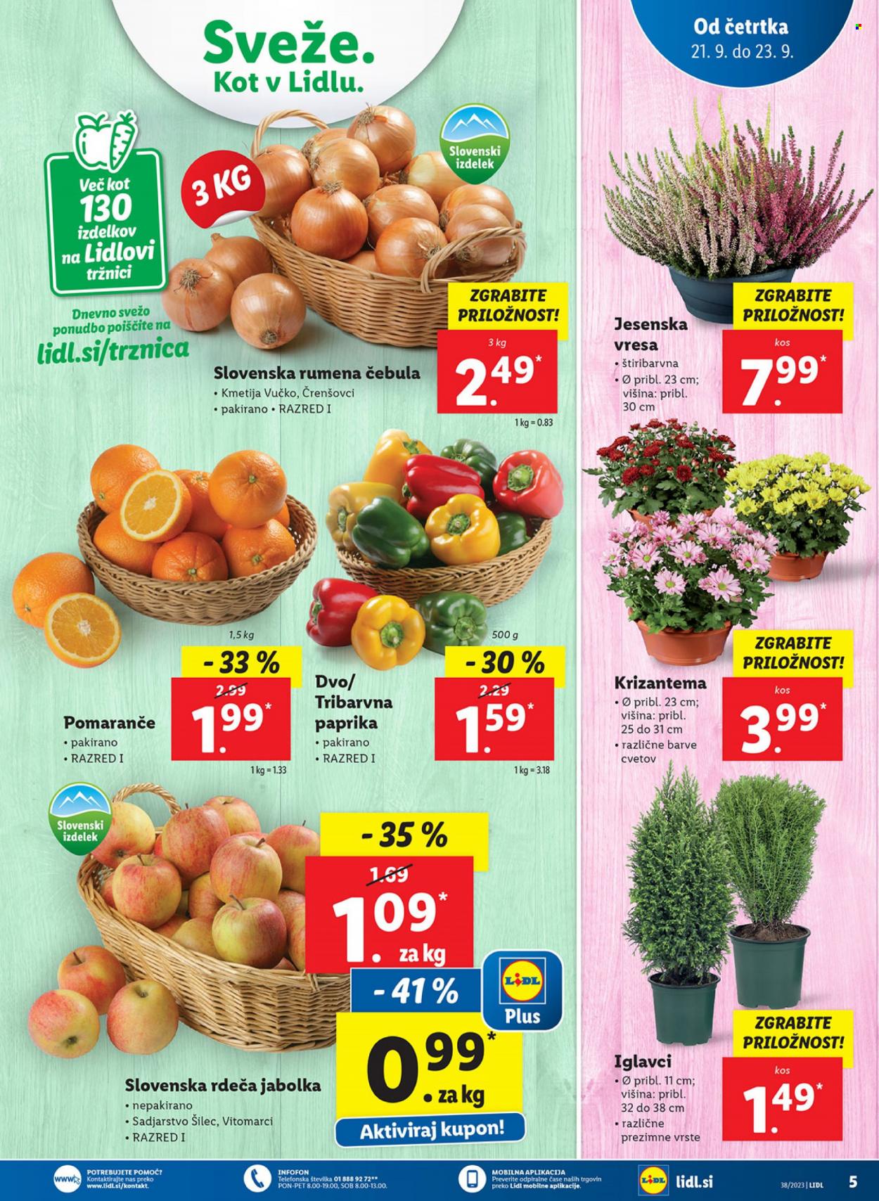 Lidl katalog - 21.9.2023 - 27.9.2023. Stran 9