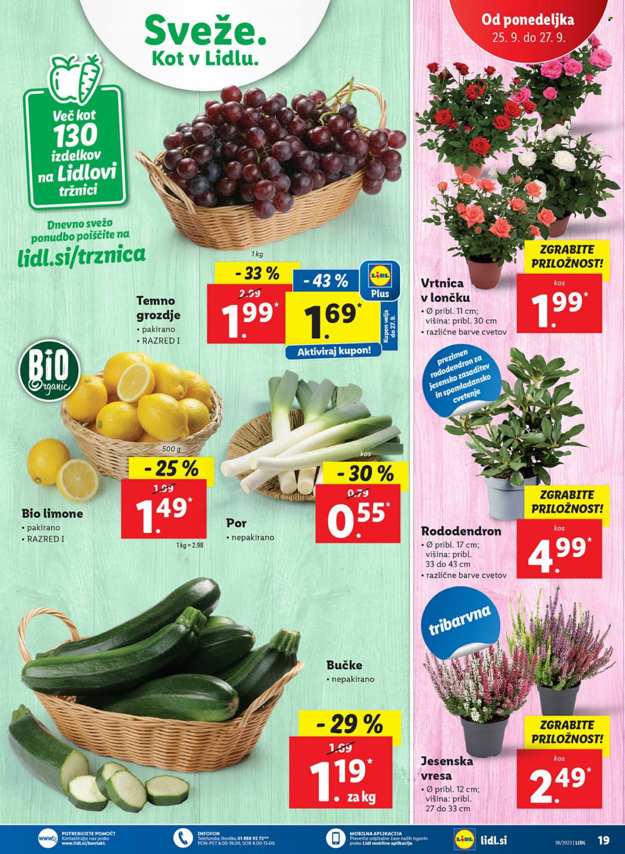 Lidl katalog - 21.9.2023 - 27.9.2023. Stran 35