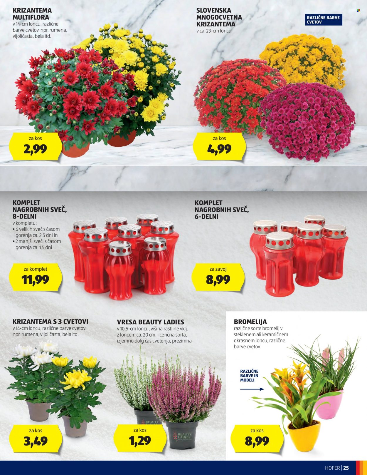 Hofer katalog - 28.9.2023 - 7.10.2023. Stran 25