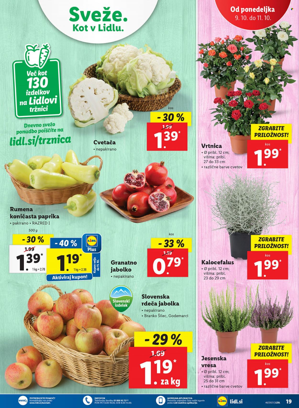 Lidl katalog - 5.10.2023 - 11.10.2023. Stran 31