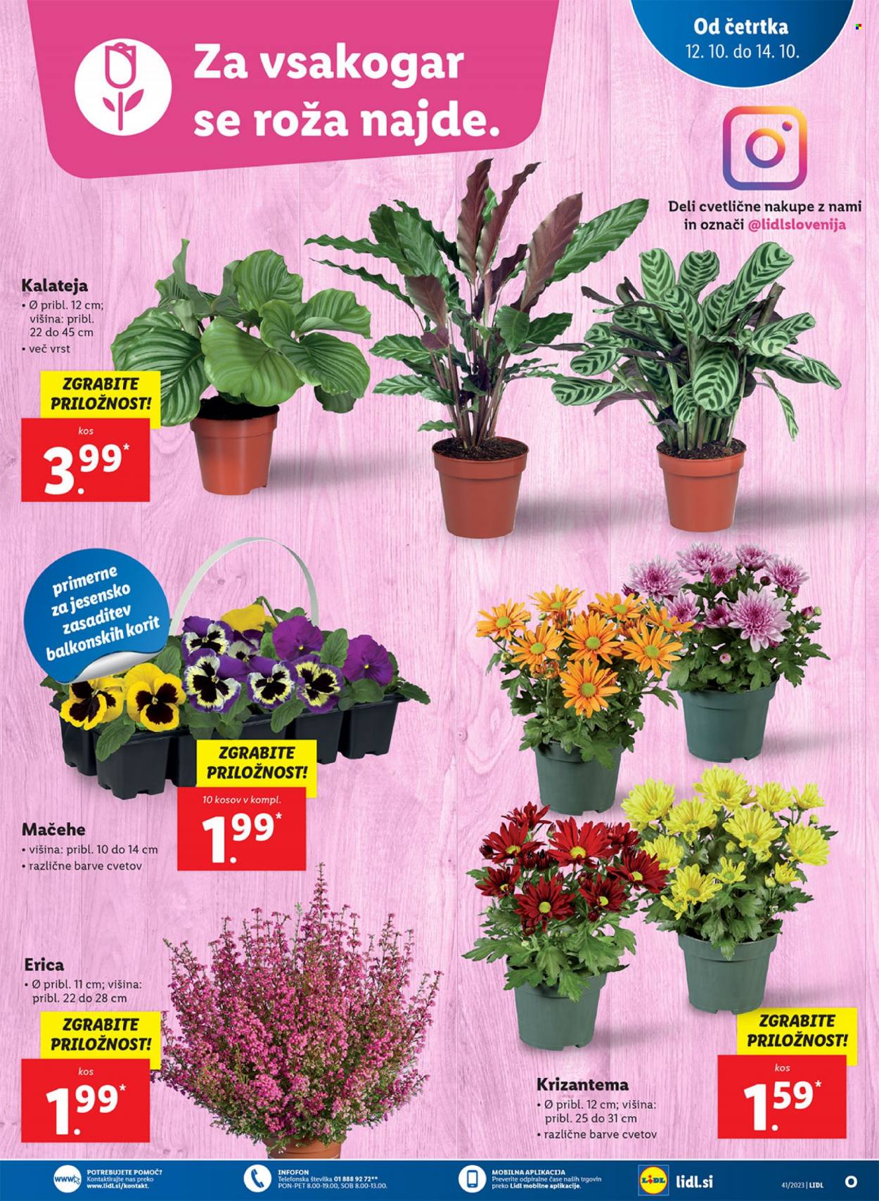 Lidl katalog - 12.10.2023 - 22.10.2023. Stran 5