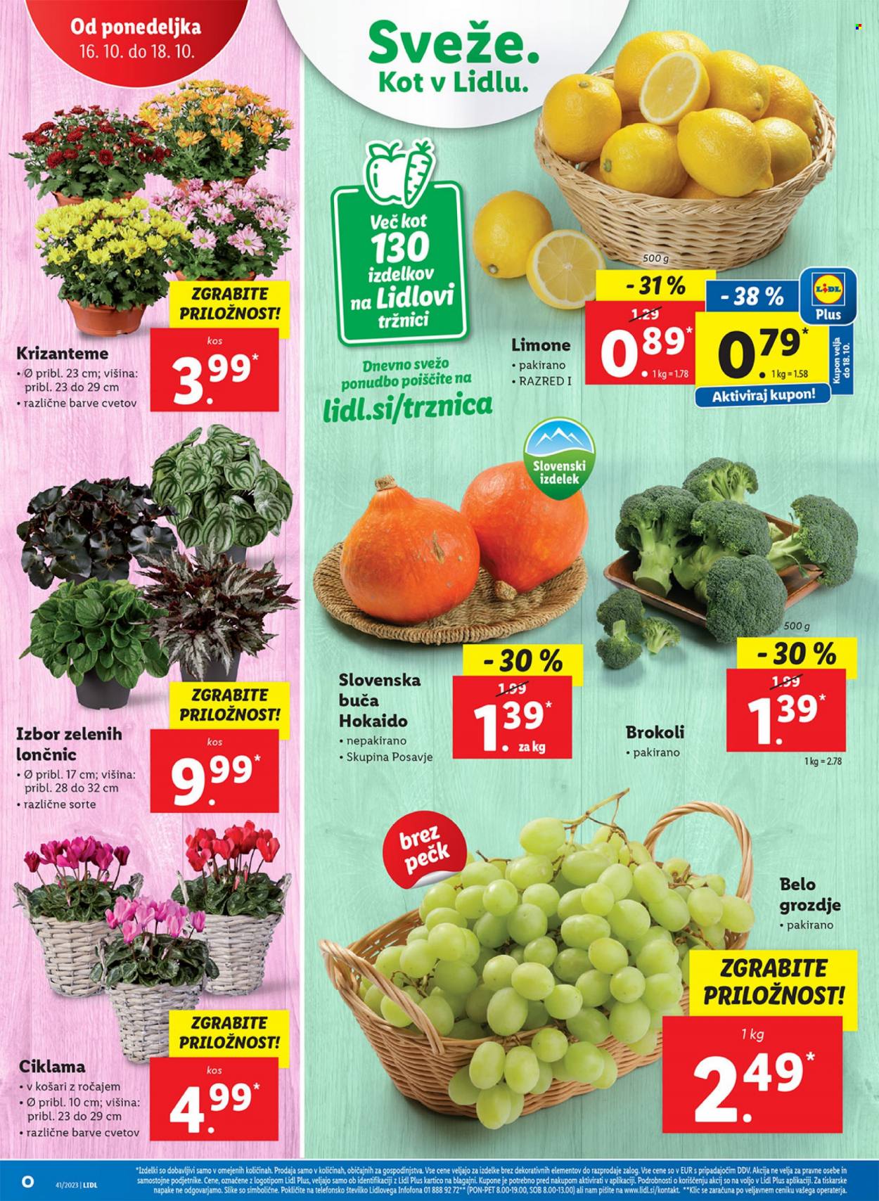 Lidl katalog - 12.10.2023 - 22.10.2023. Stran 40