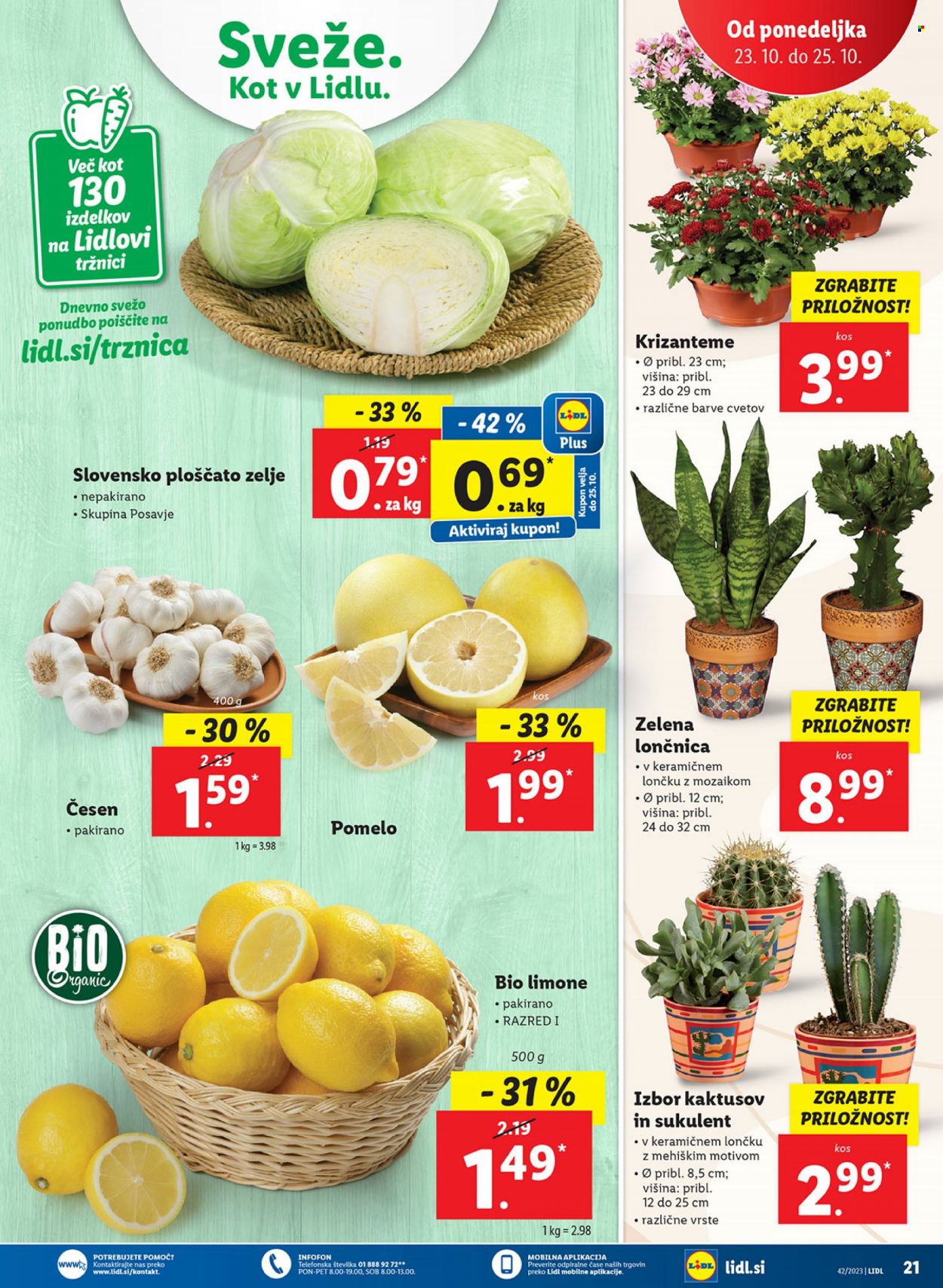 Lidl katalog - 19.10.2023 - 29.10.2023. Stran 35