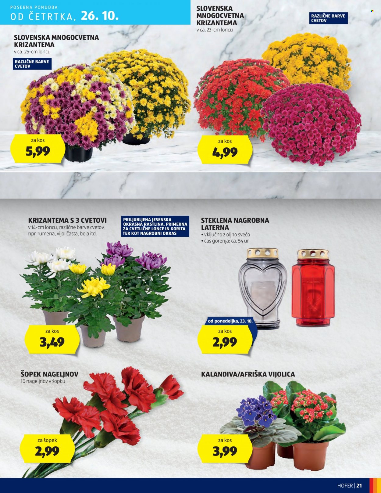 Hofer katalog - 19.10.2023 - 28.10.2023. Stran 21
