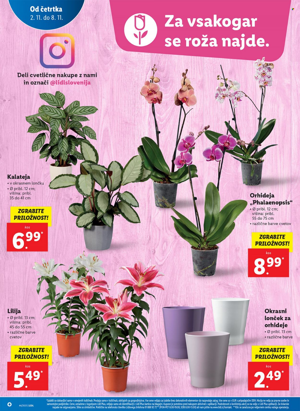 Lidl katalog - 2.11.2023 - 8.11.2023. Stran 4