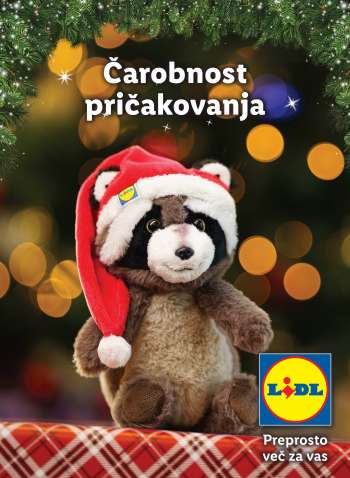 Lidl katalog.