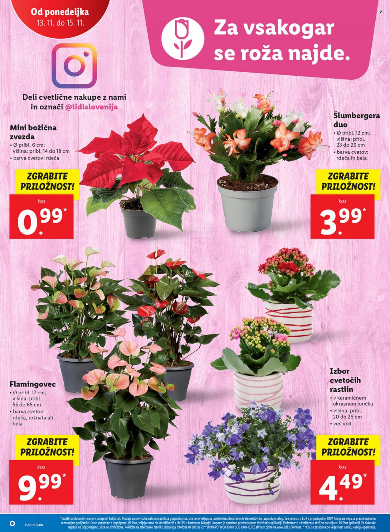 Lidl katalog - 9.11.2023 - 15.11.2023. Stran 44