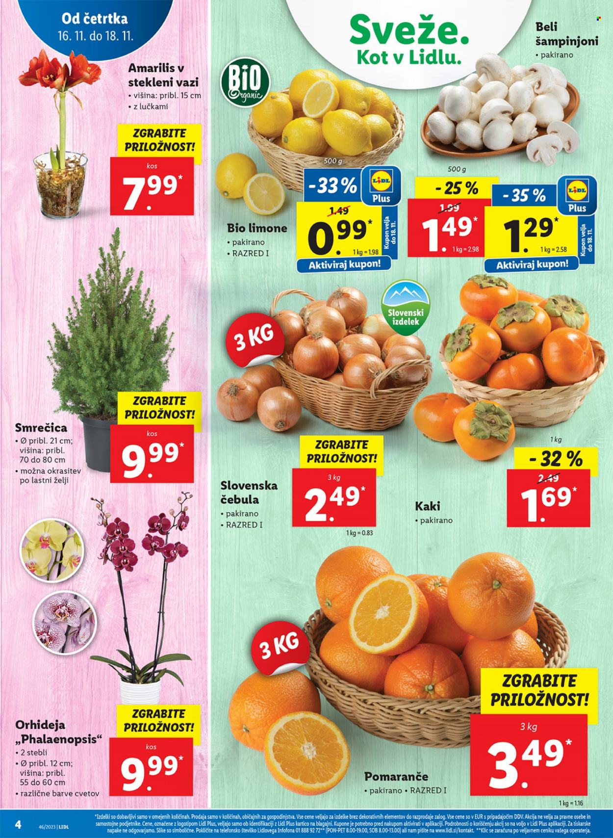 Lidl katalog - 16.11.2023 - 22.11.2023. Stran 4