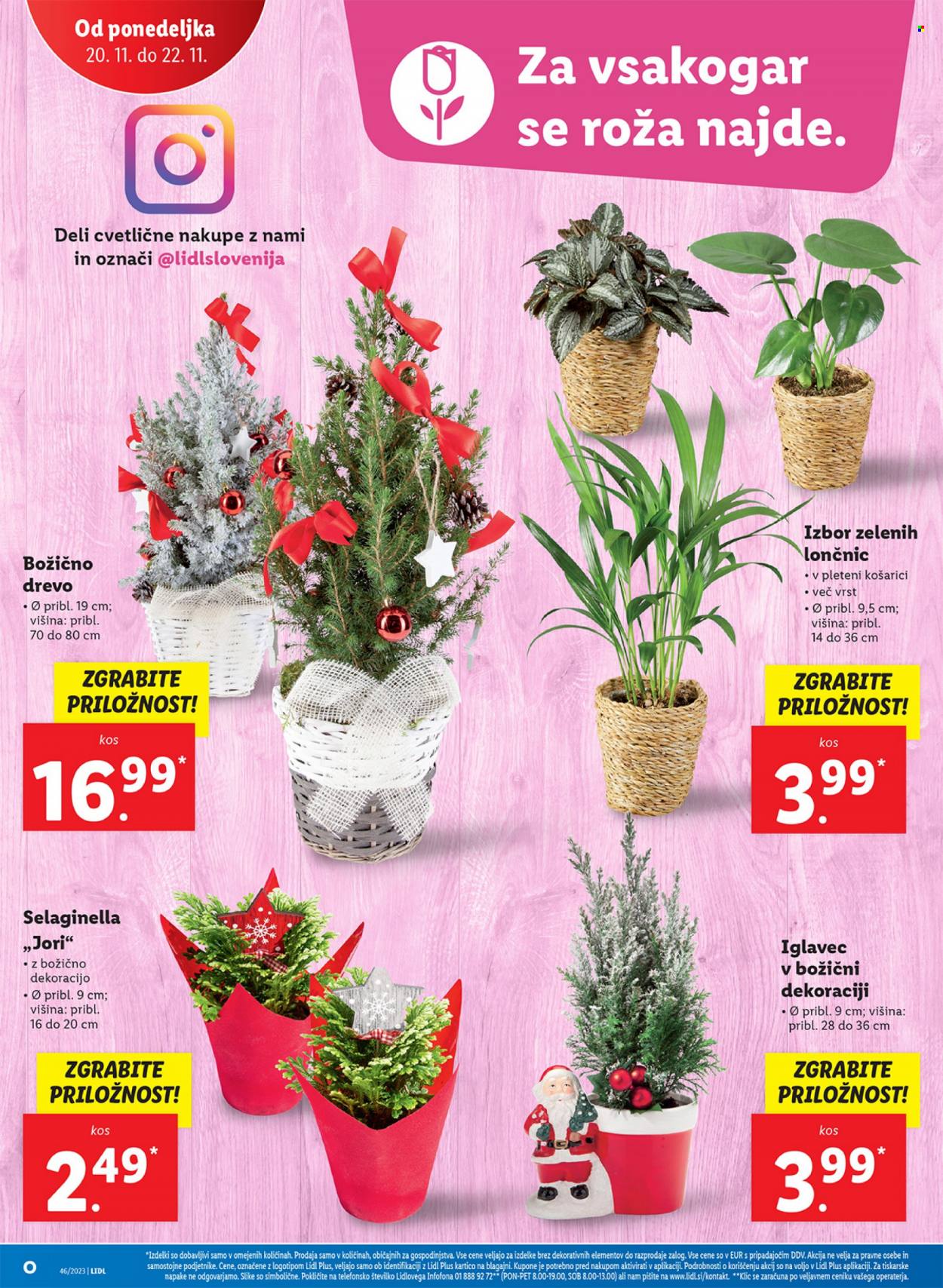 Lidl katalog - 16.11.2023 - 22.11.2023. Stran 36