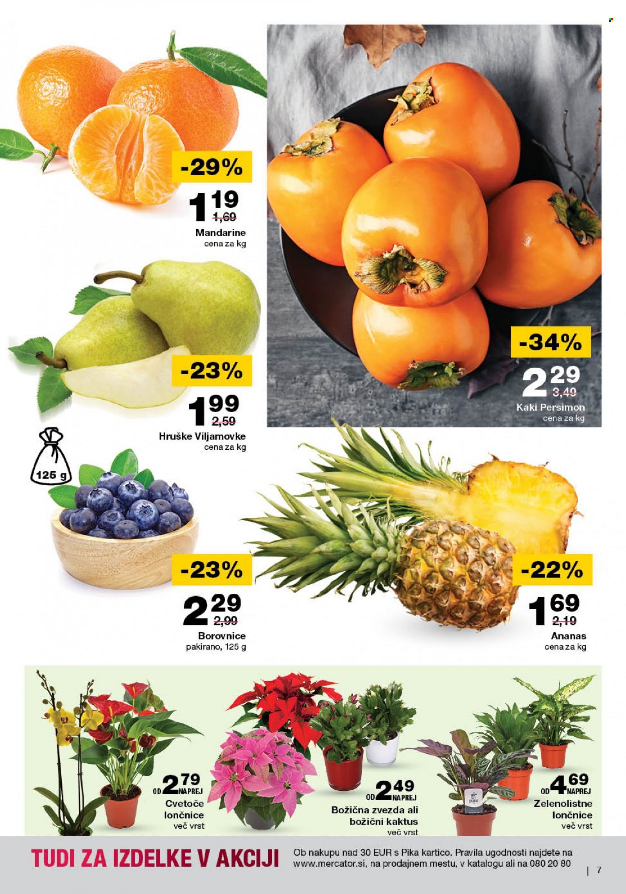 Mercator katalog - 16.11.2023 - 22.11.2023. Stran 7