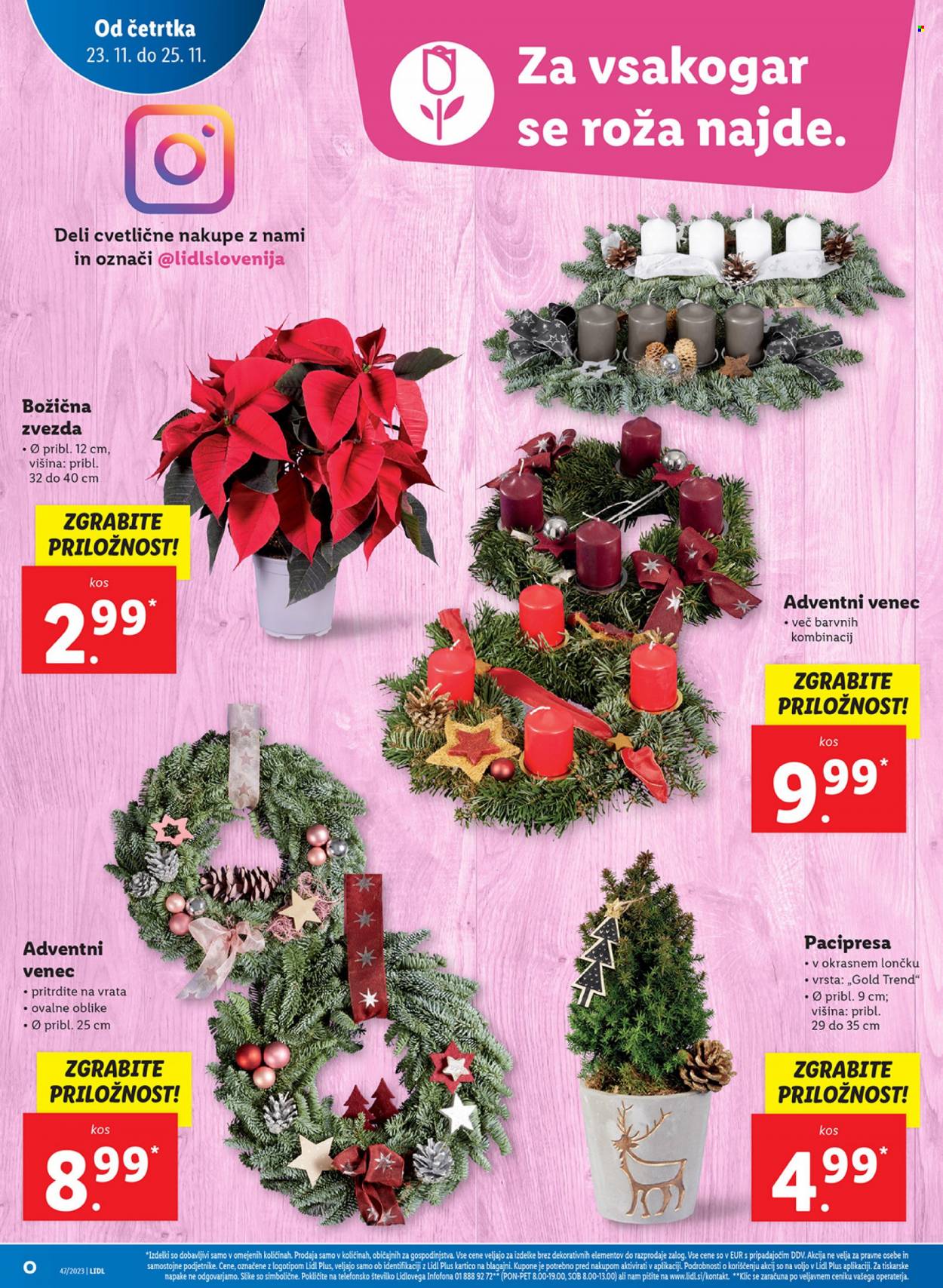 Lidl katalog - 23.11.2023 - 29.11.2023. Stran 6