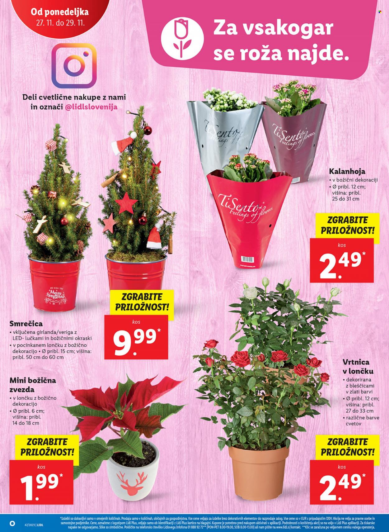 Lidl katalog - 23.11.2023 - 29.11.2023. Stran 44