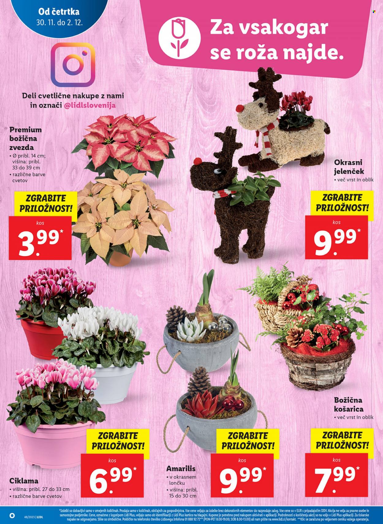 Lidl katalog - 30.11.2023 - 6.12.2023. Stran 10