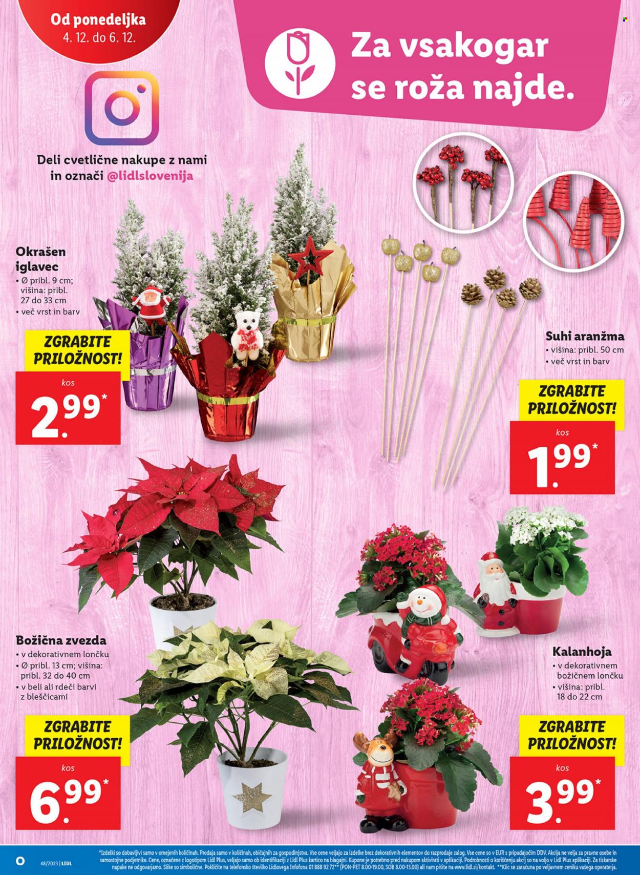 Lidl katalog - 30.11.2023 - 6.12.2023. Stran 42