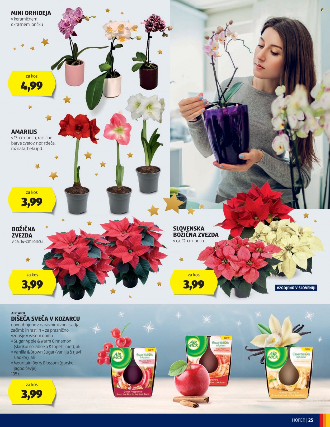 Hofer katalog - 30.11.2023 - 9.12.2023. Stran 25