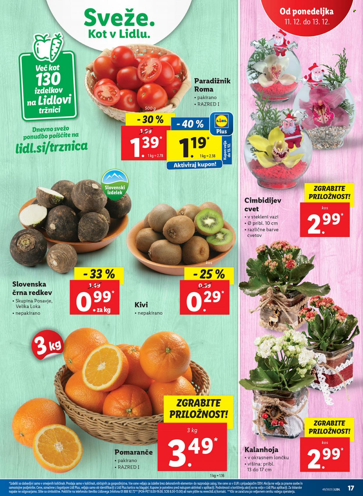 Lidl katalog - 7.12.2023 - 13.12.2023. Stran 37