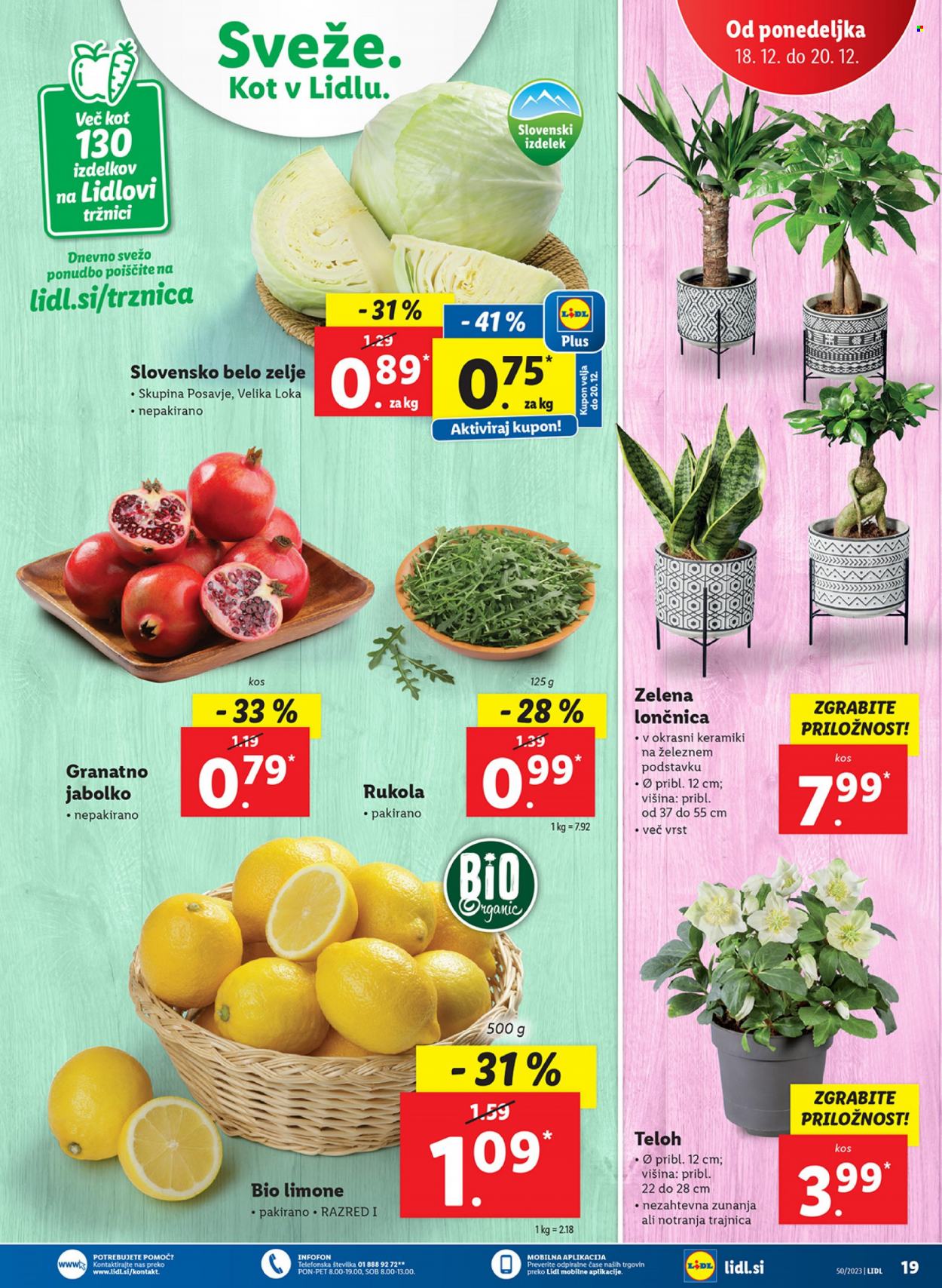 Lidl katalog - 14.12.2023 - 20.12.2023. Stran 39