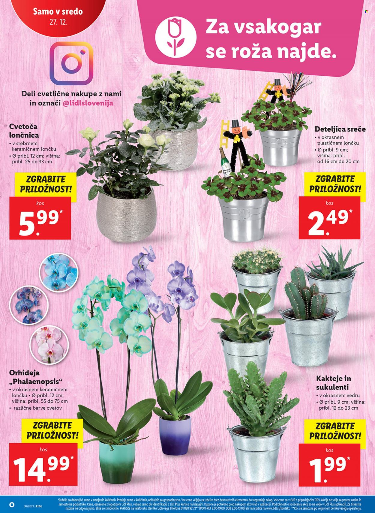 Lidl katalog - 21.12.2023 - 27.12.2023. Stran 38