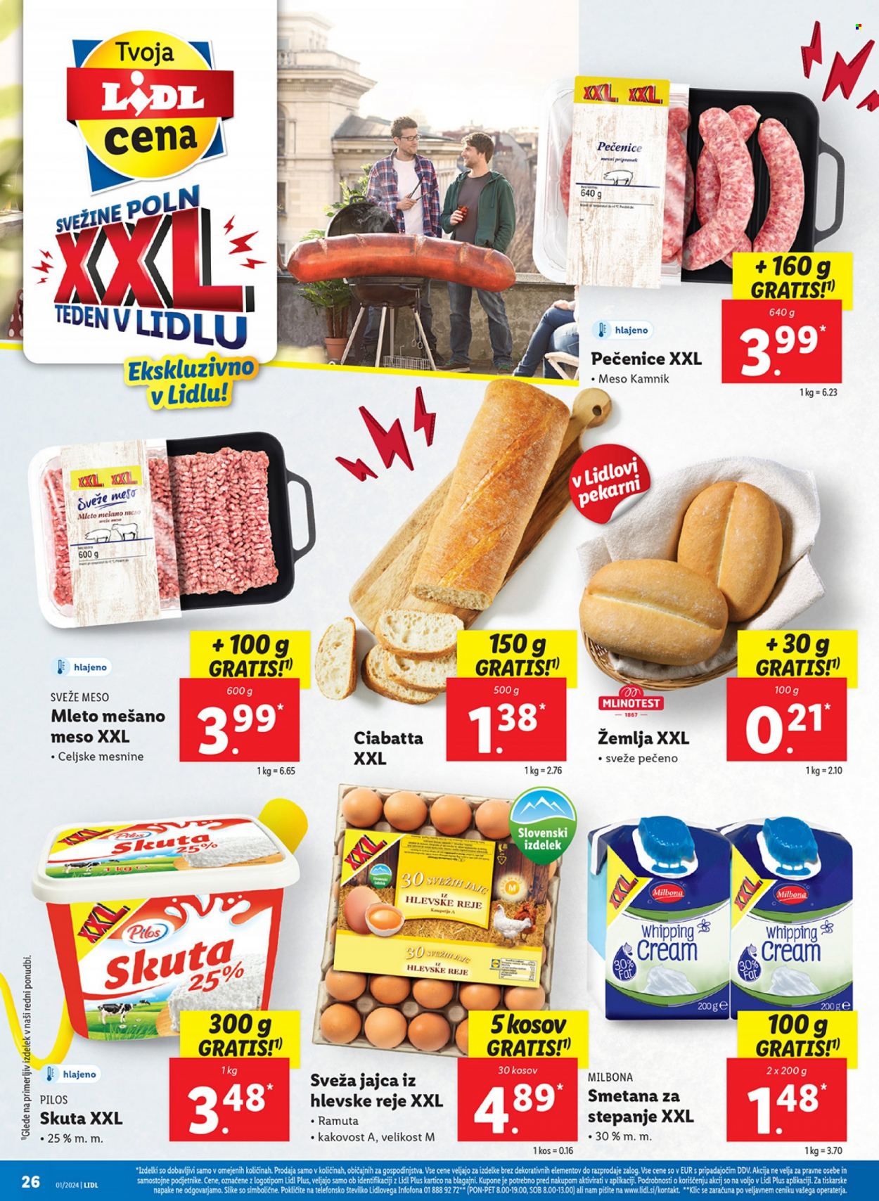 Lidl katalog - 4.1.2024 - 10.1.2024. Stran 46