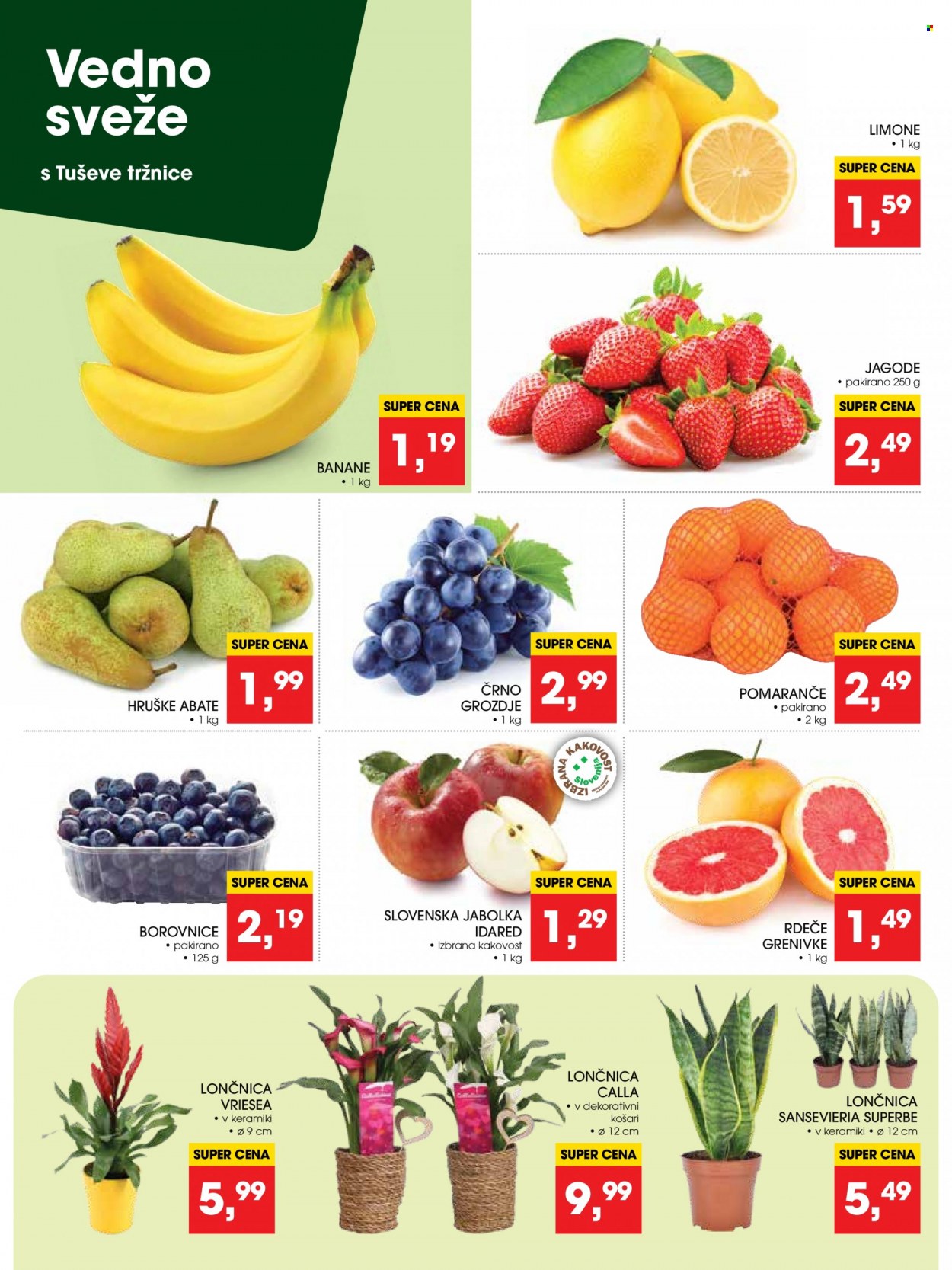 Tuš katalog - 5.1.2024 - 9.1.2024. Stran 6