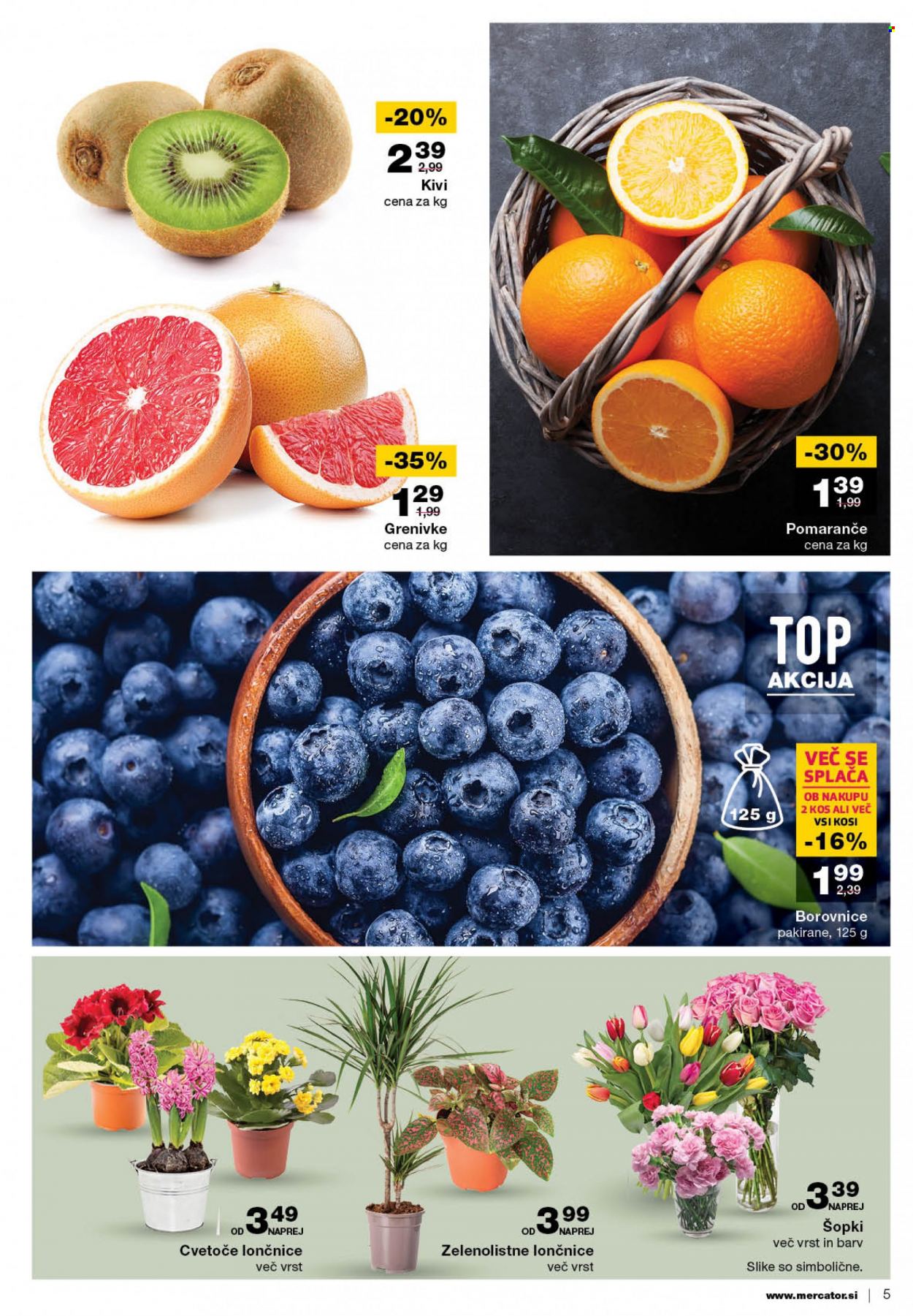 Mercator katalog - 11.1.2024 - 17.1.2024. Stran 5
