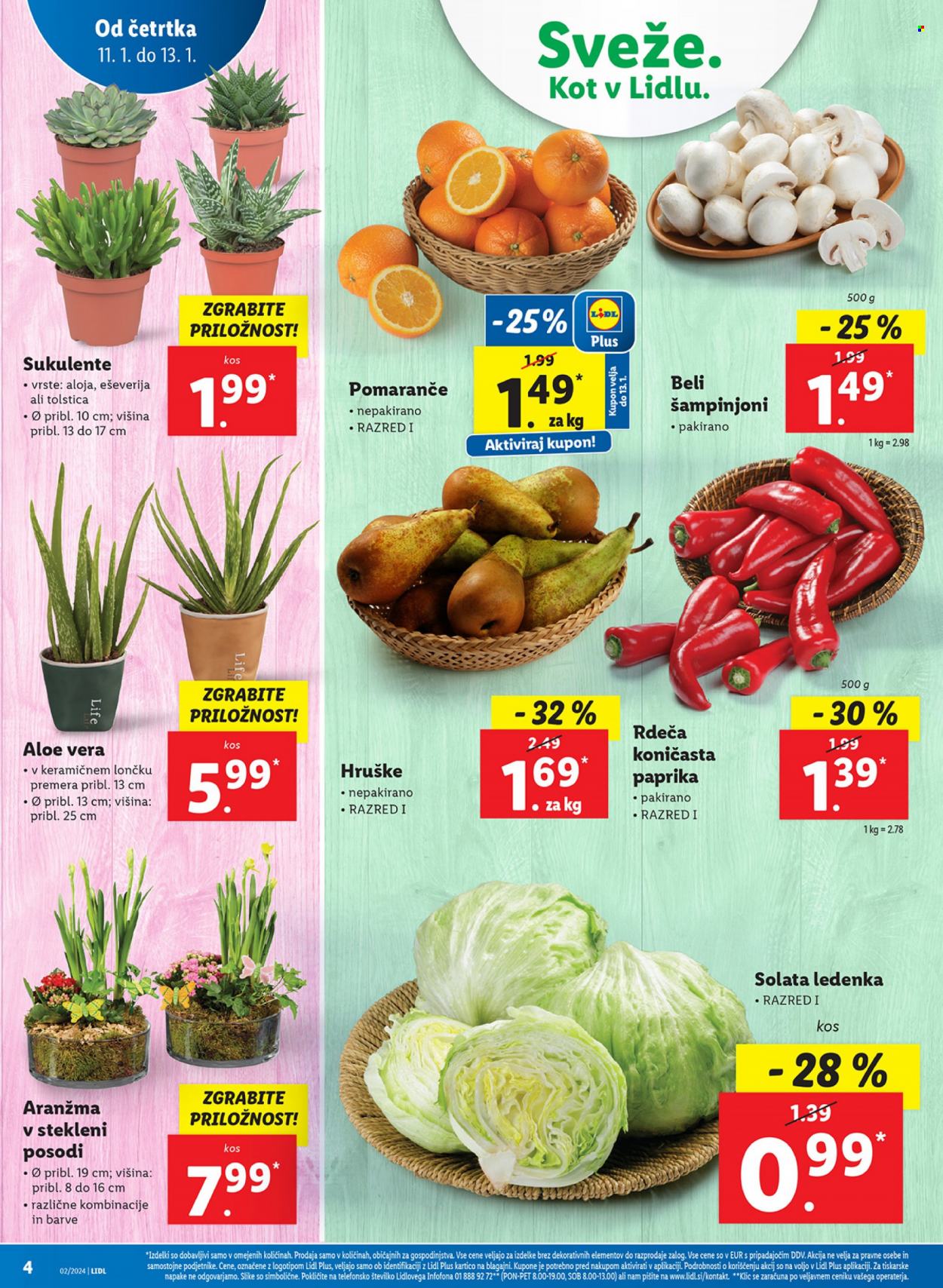 Lidl katalog - 11.1.2024 - 17.1.2024. Stran 4