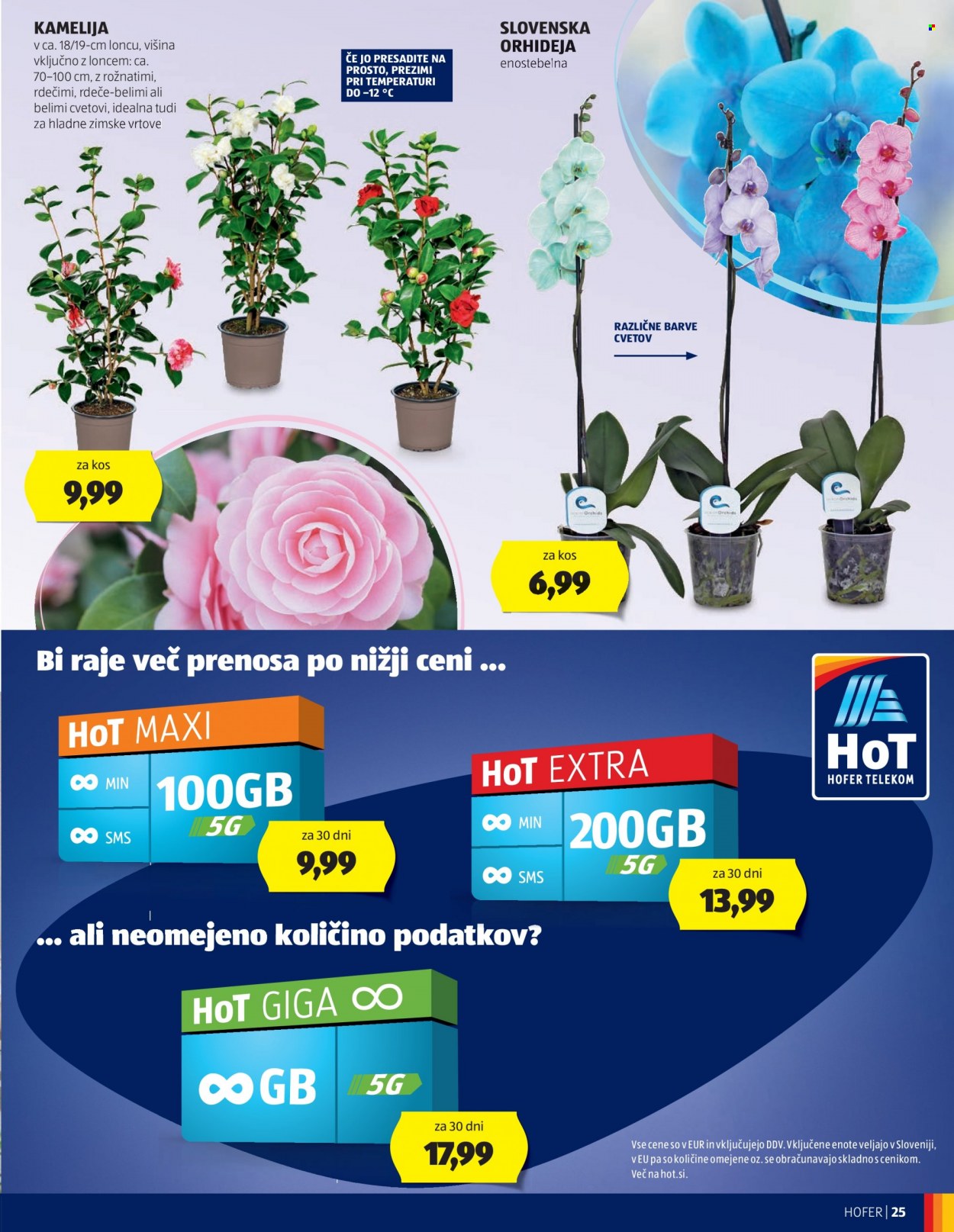Hofer katalog - 11.1.2024 - 20.1.2024. Stran 25