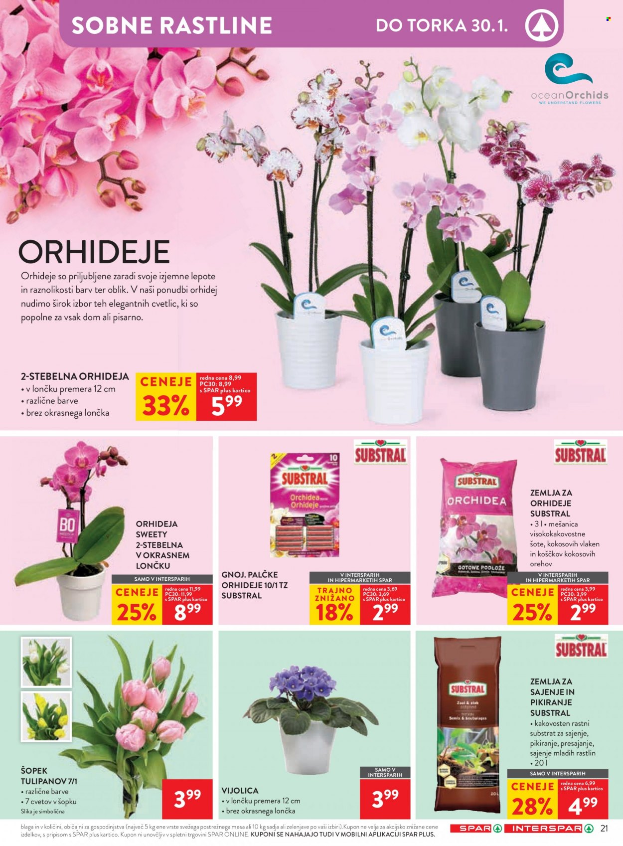 SPAR katalog - 17.1.2024 - 30.1.2024. Stran 25