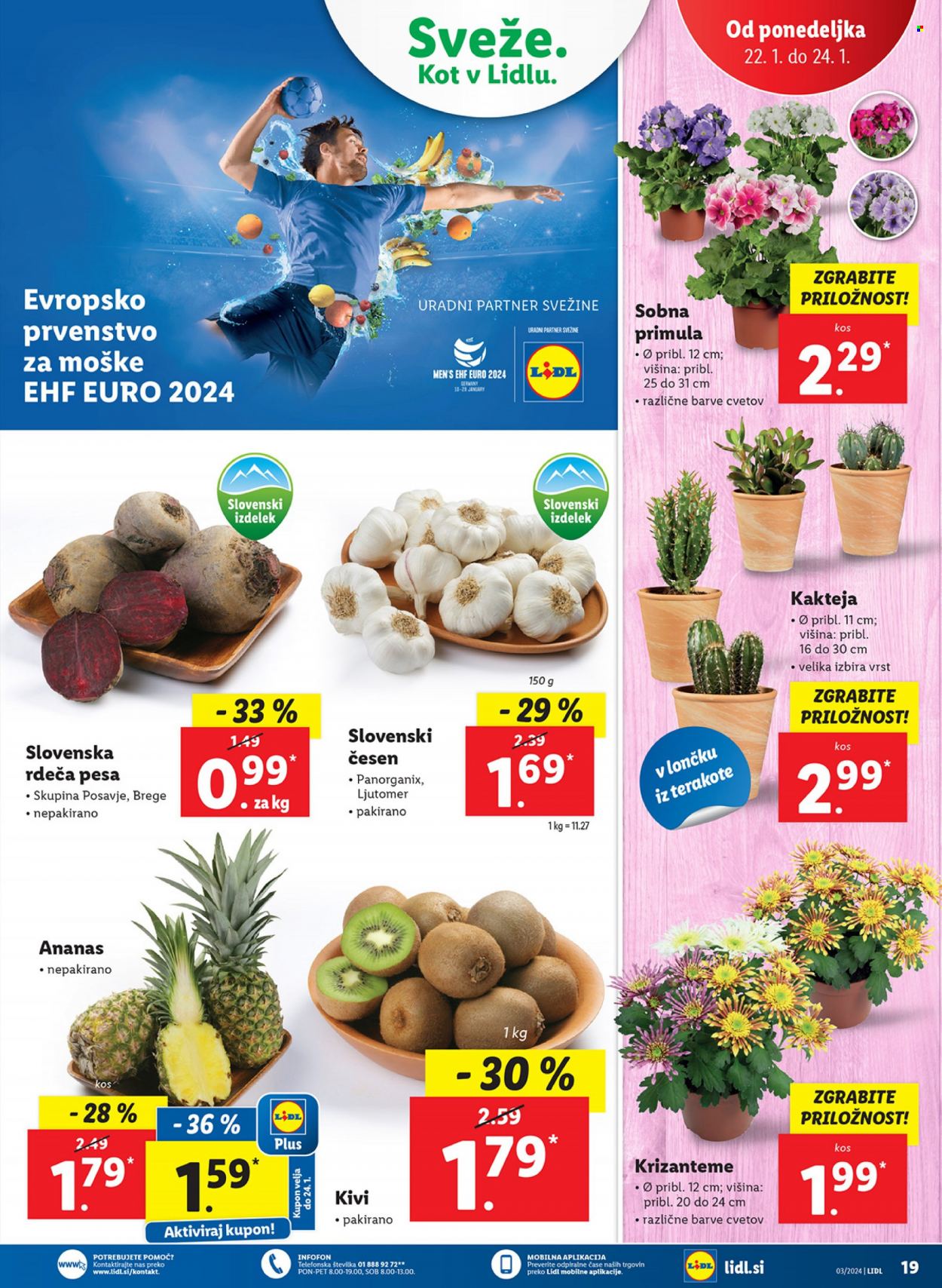 Lidl katalog - 18.1.2024 - 24.1.2024. Stran 39