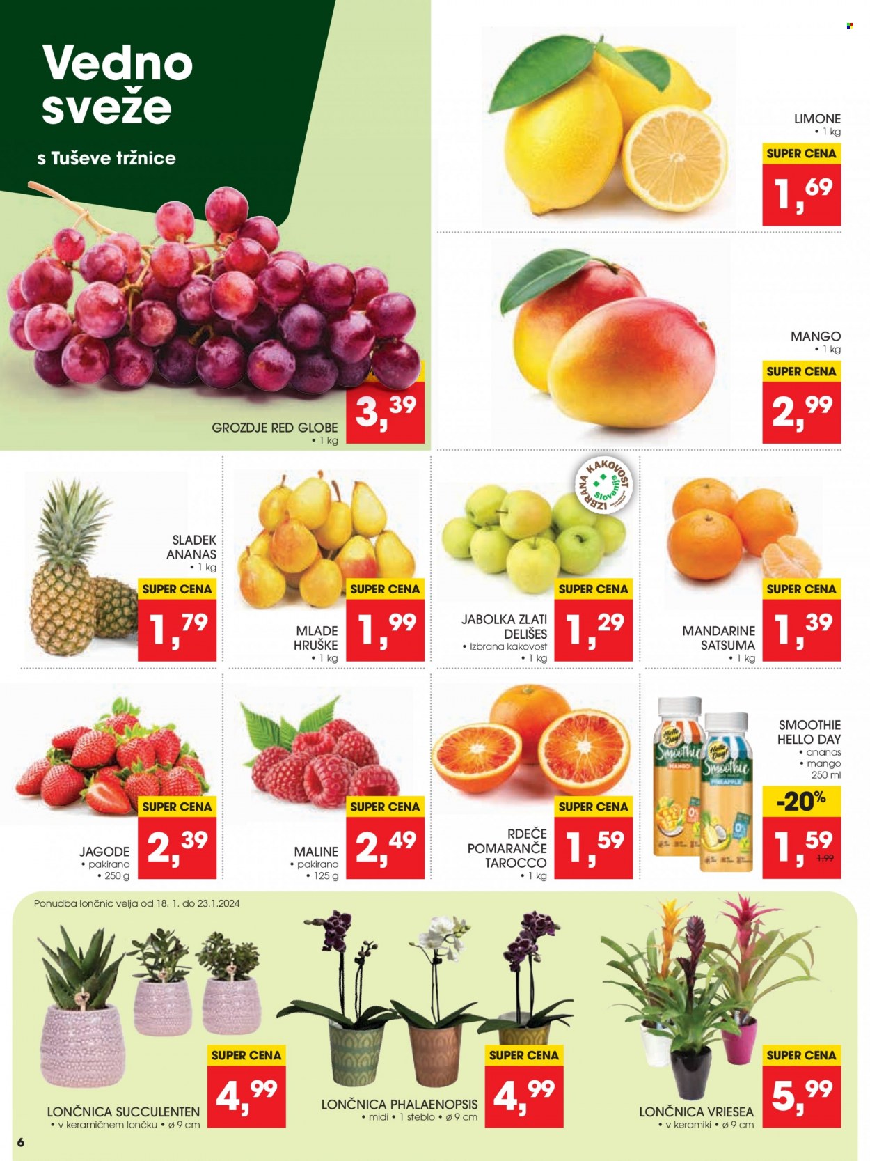 Tuš katalog - 17.1.2024 - 23.1.2024. Stran 6