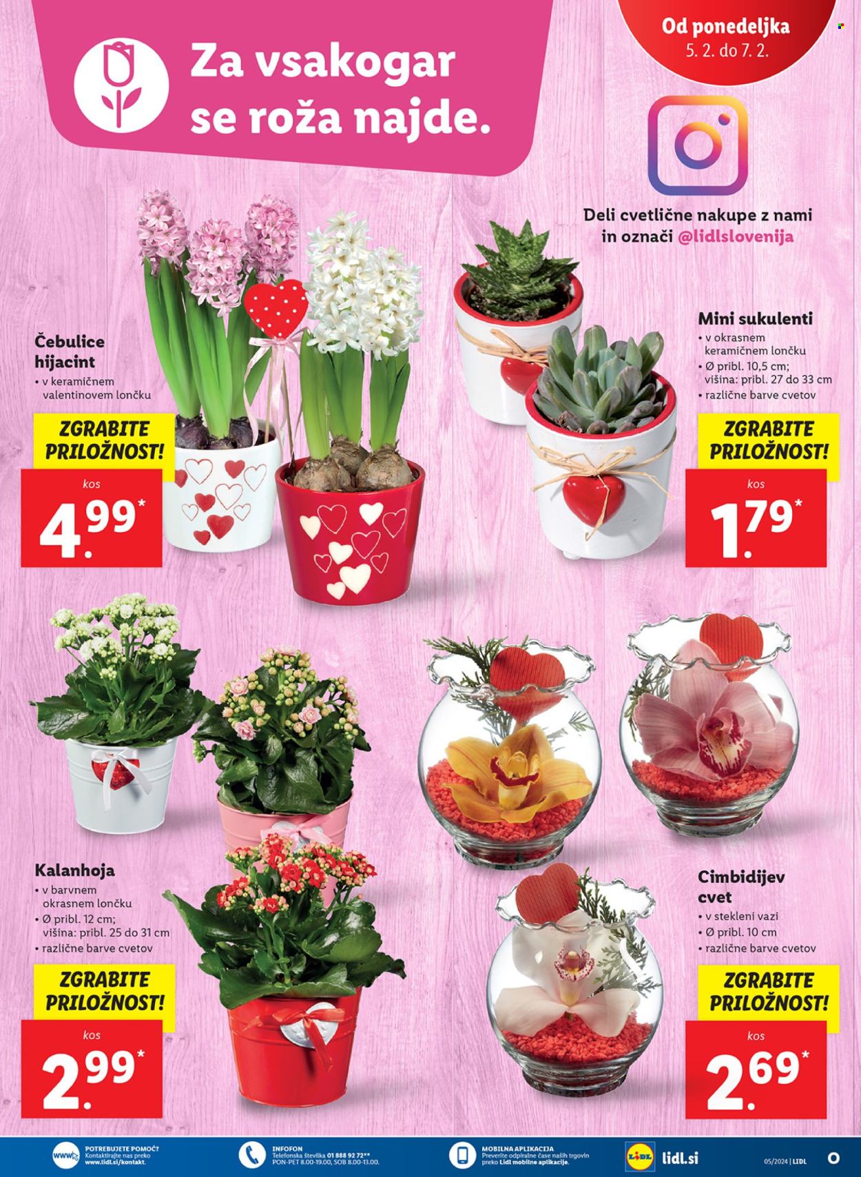 Lidl katalog - 1.2.2024 - 7.2.2024. Stran 33