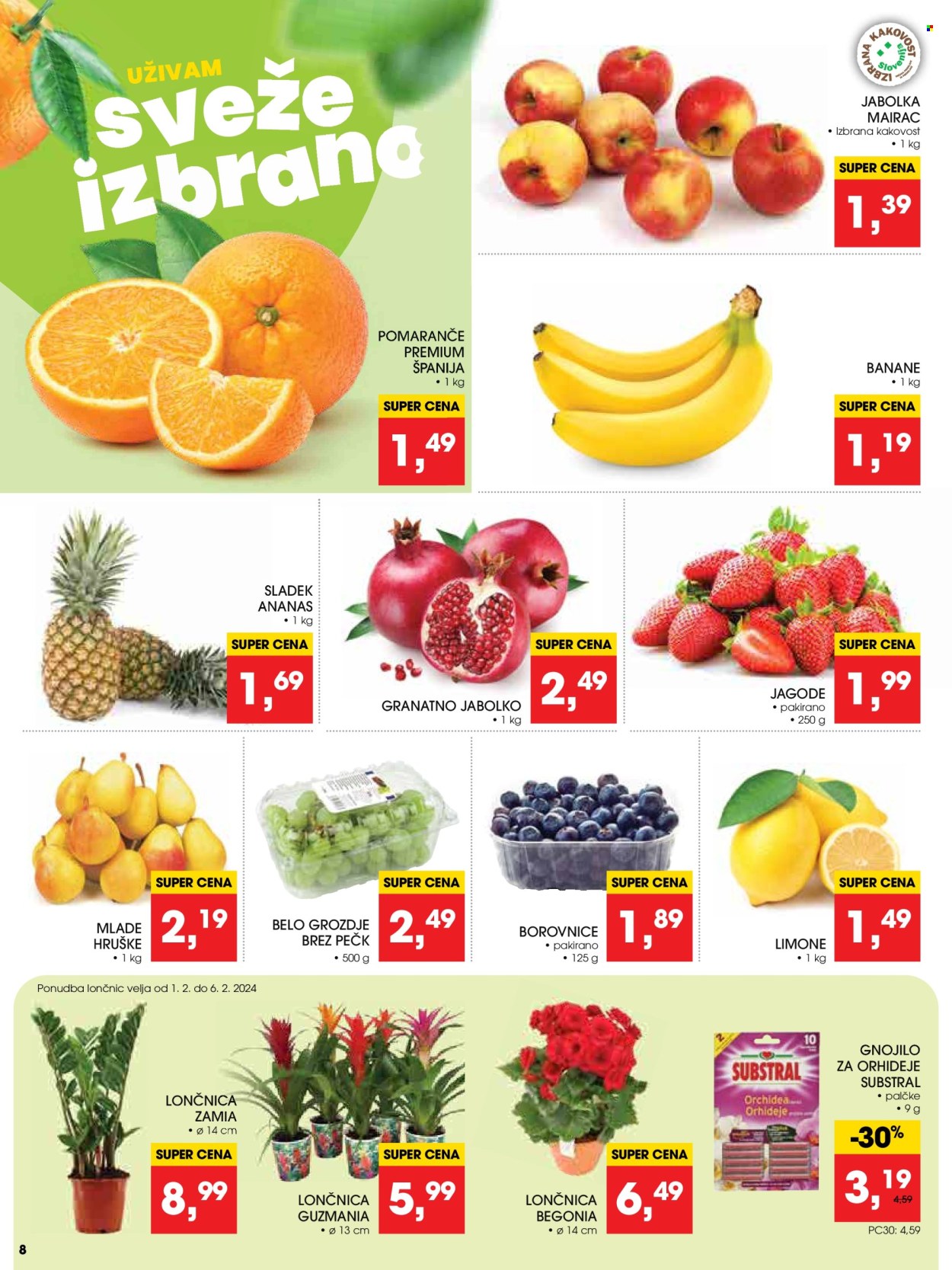 Tuš katalog - 31.1.2024 - 6.2.2024. Stran 8