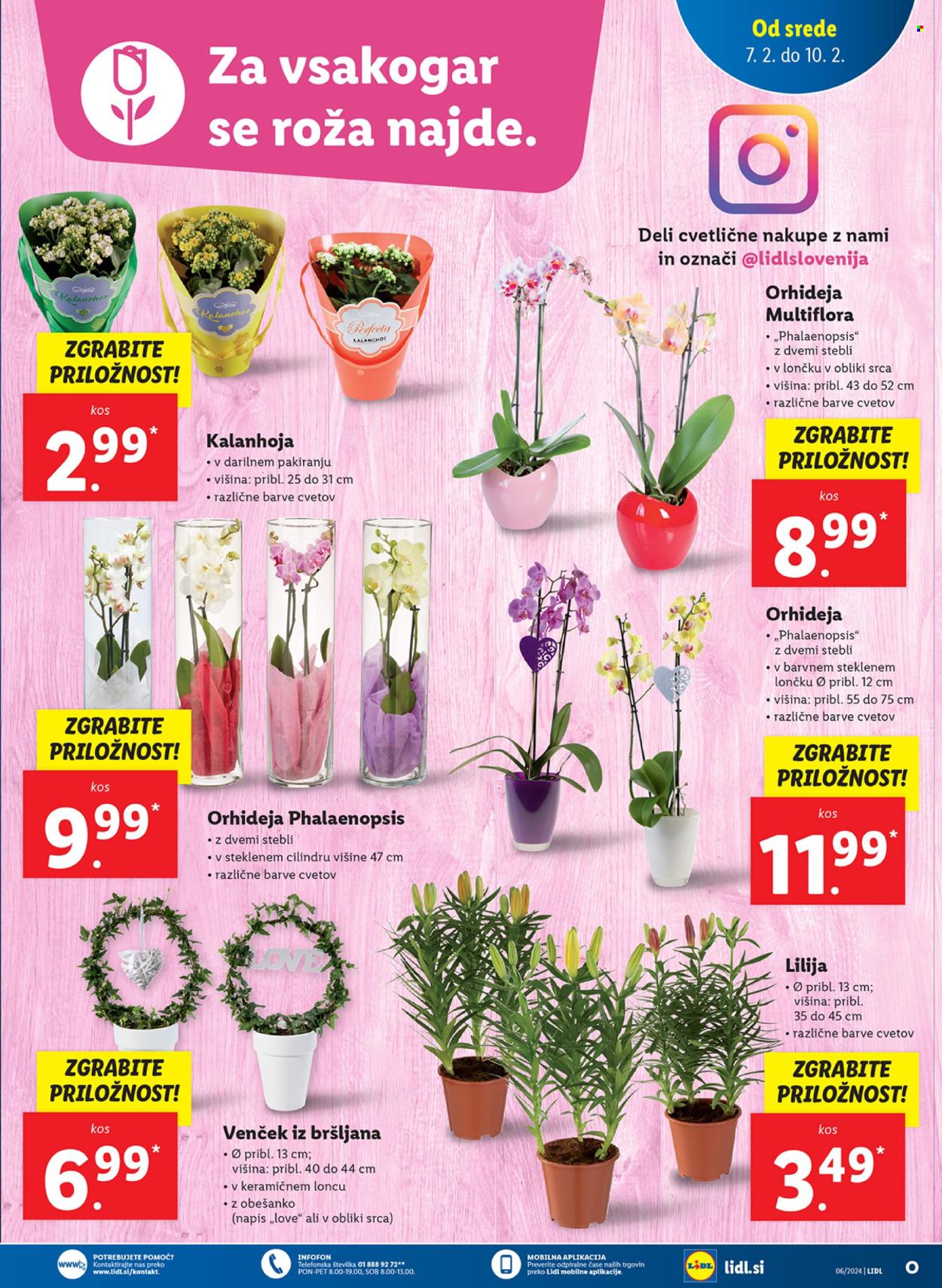 Lidl katalog - 7.2.2024 - 14.2.2024. Stran 9
