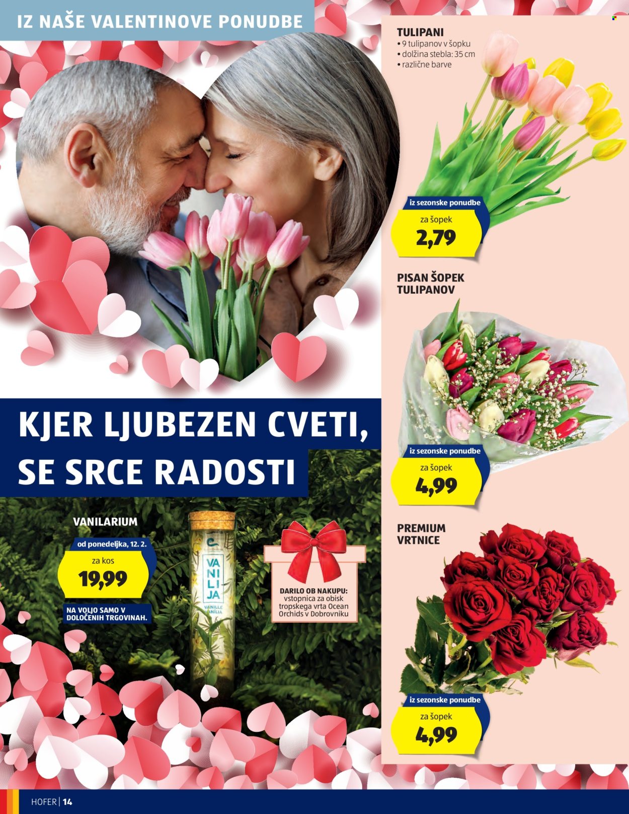 Hofer katalog - 7.2.2024 - 17.2.2024. Stran 14