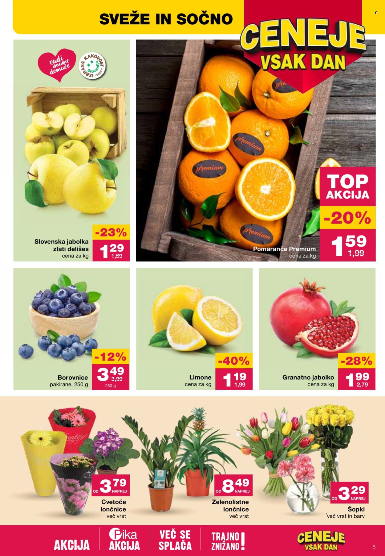 Mercator katalog - 15.2.2024 - 21.2.2024. Stran 5