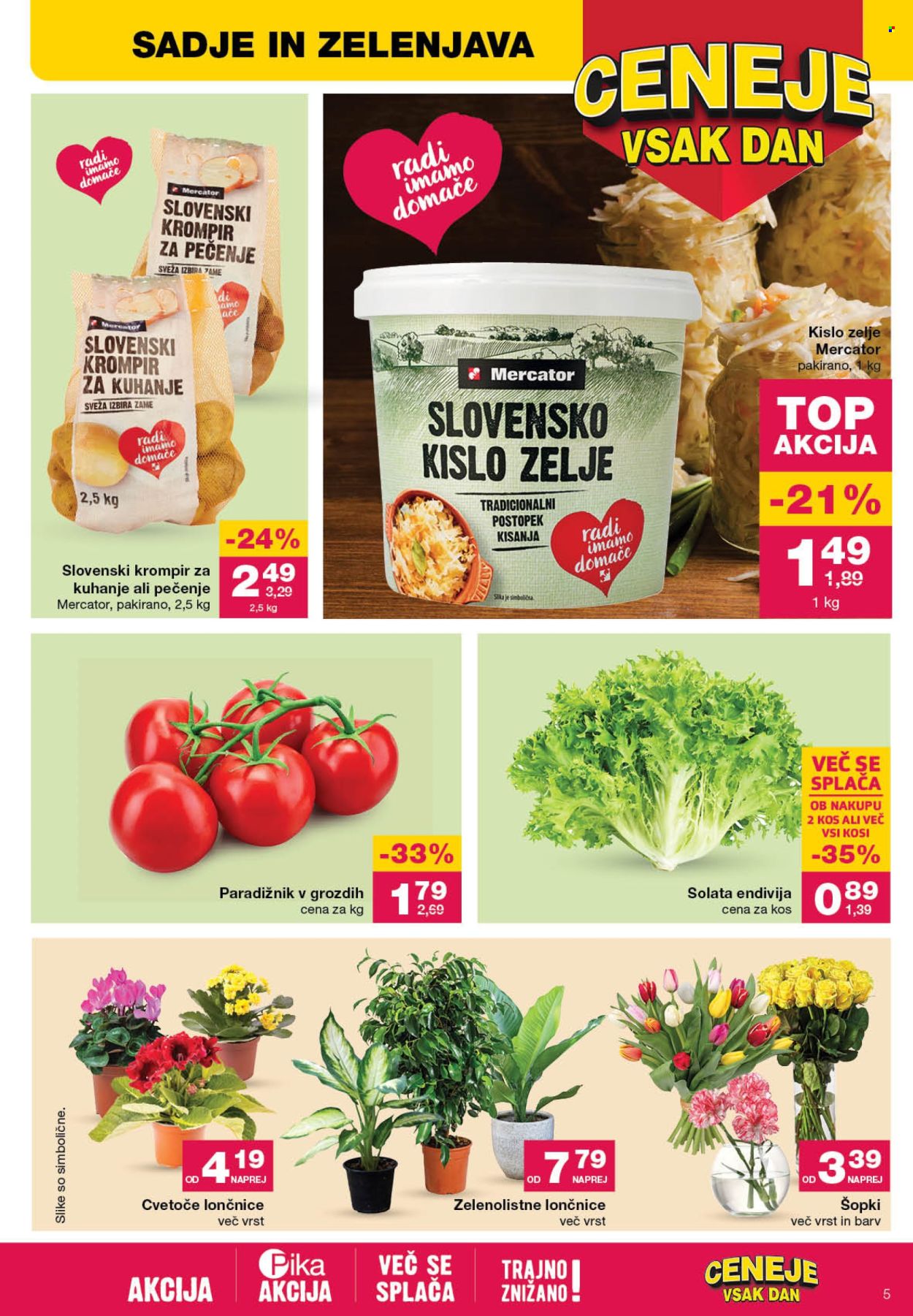 Mercator katalog - 22.2.2024 - 28.2.2024. Stran 5
