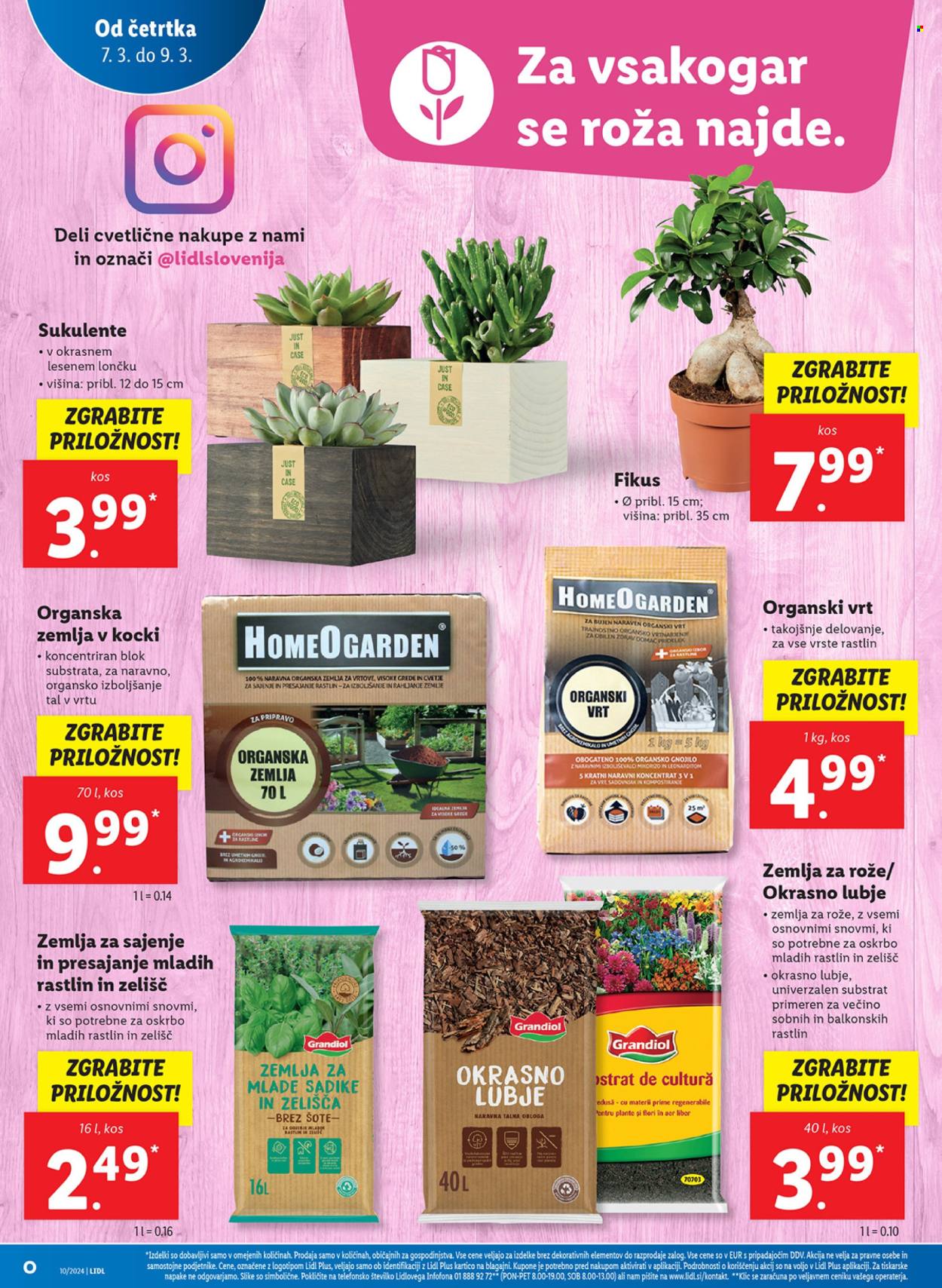 Lidl katalog - 7.3.2024 - 13.3.2024. Stran 6