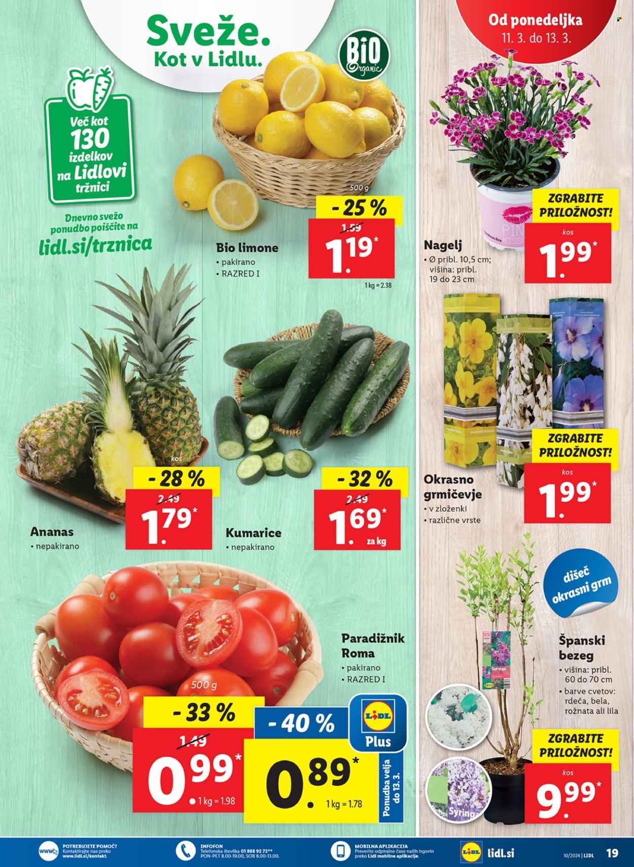 Lidl katalog - 7.3.2024 - 13.3.2024. Stran 35