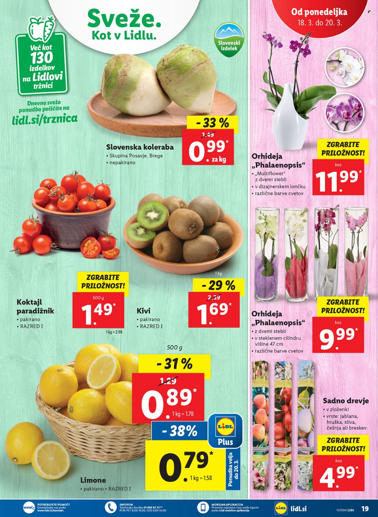 Lidl katalog - 14.3.2024 - 20.3.2024. Stran 35