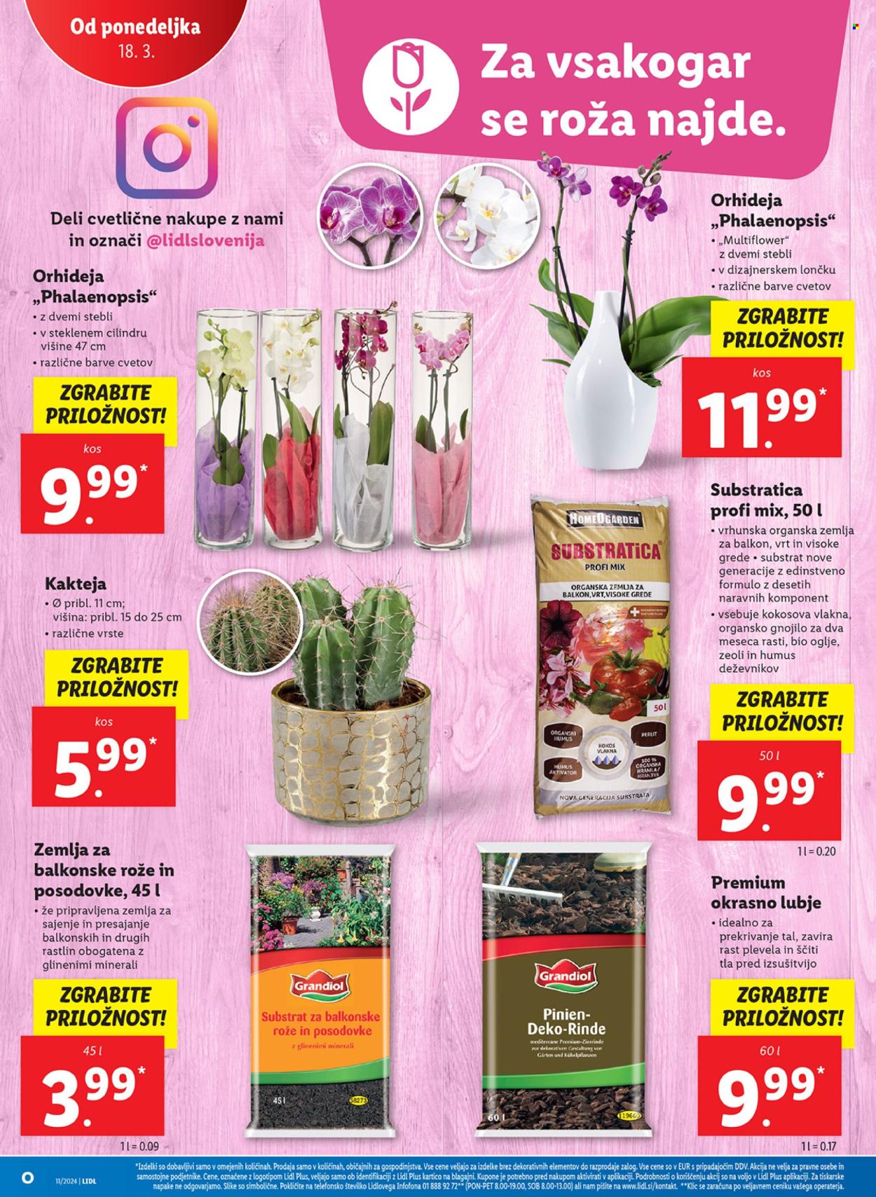 Lidl katalog - 14.3.2024 - 20.3.2024. Stran 36