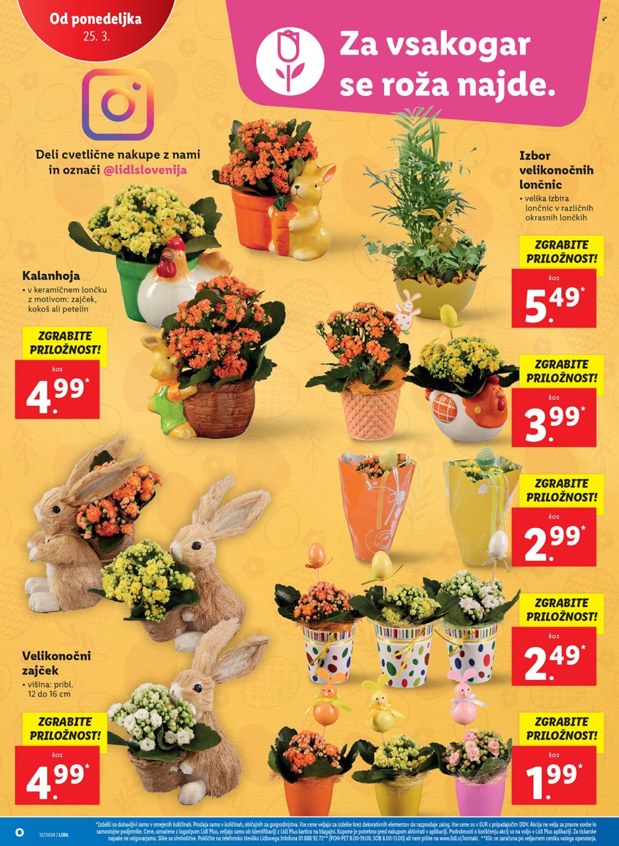 Lidl katalog - 21.3.2024 - 27.3.2024. Stran 38