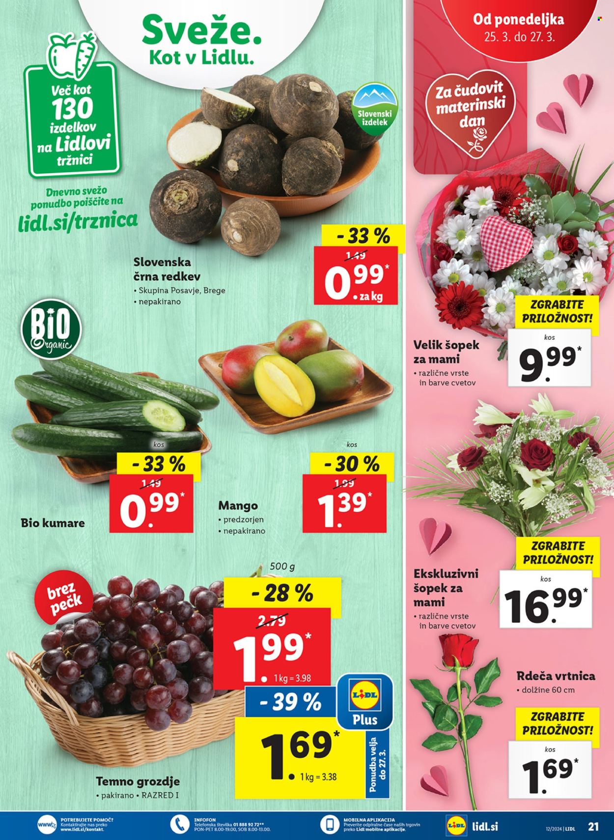 Lidl katalog - 21.3.2024 - 27.3.2024. Stran 39
