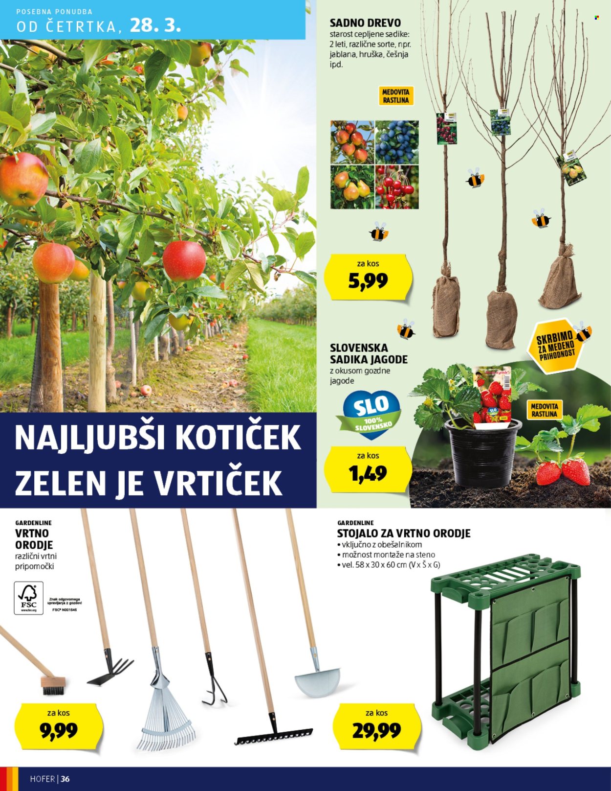 Hofer katalog - 21.3.2024 - 30.3.2024. Stran 36