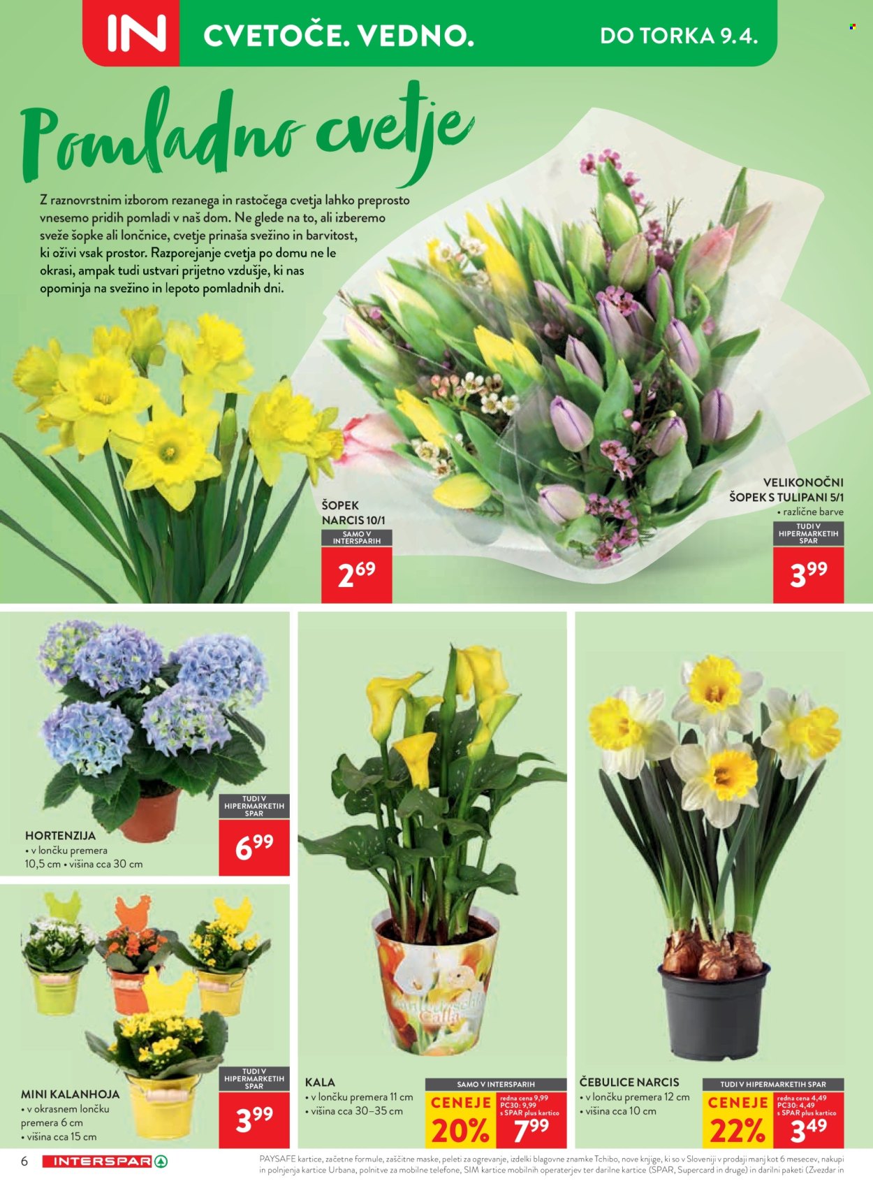 INTERSPAR katalog - 27.3.2024 - 9.4.2024. Stran 6