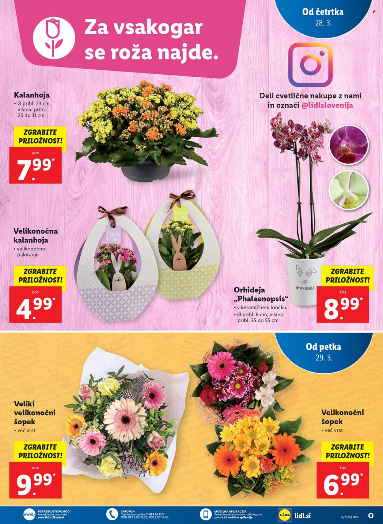 Lidl katalog - 28.3.2024 - 3.4.2024. Stran 7